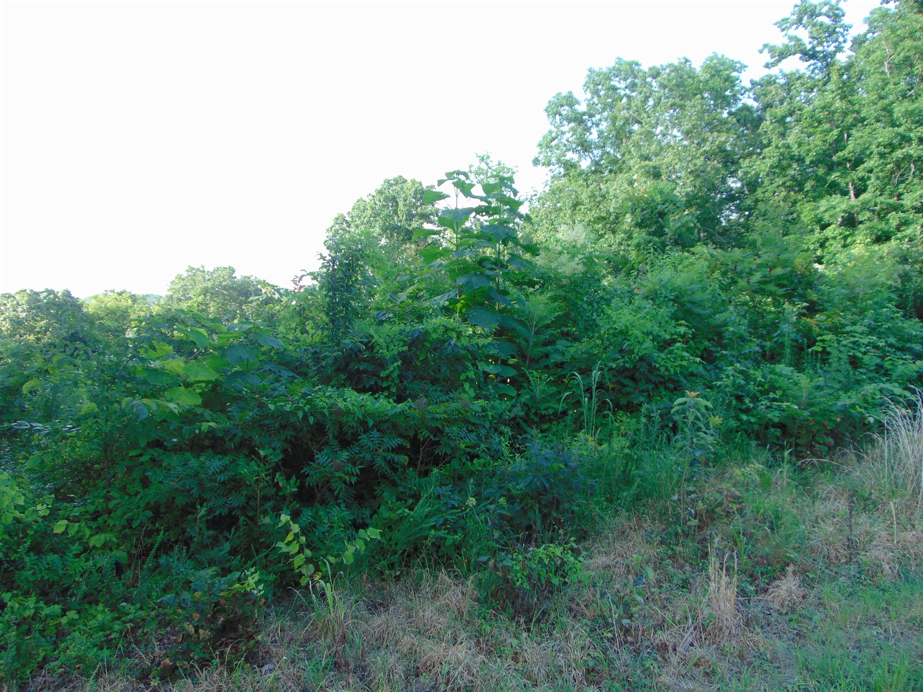 121 Darrell Dr, Tuscumbia, AL 35674 — photo 10