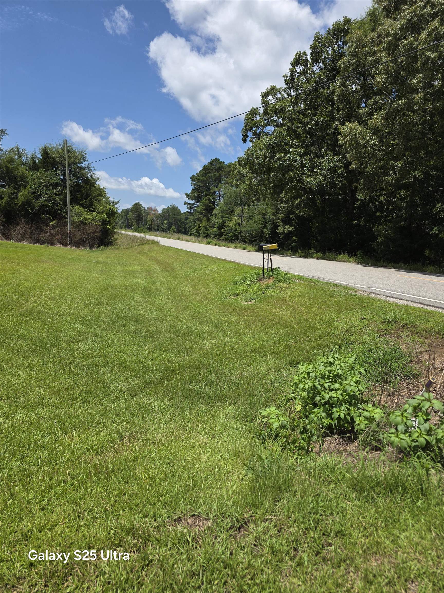 4543 Hwy 172, Hodges, AL 35571 — photo 5