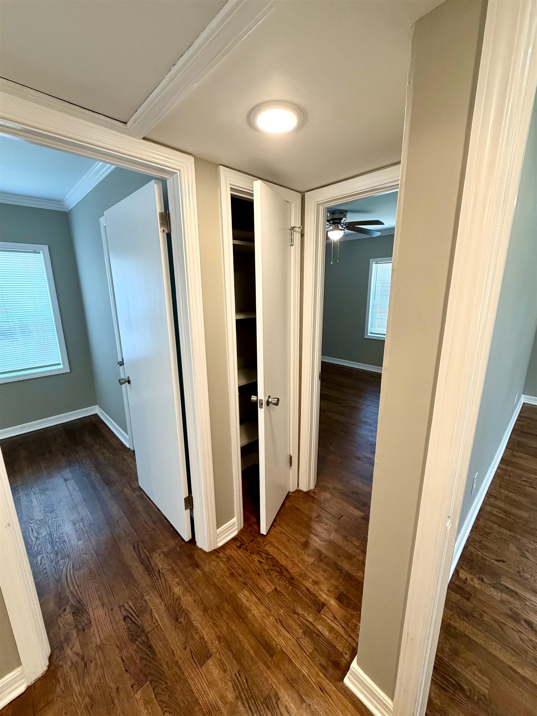 1003 N Cave St, Tuscumbia, AL 35674 — photo 11
