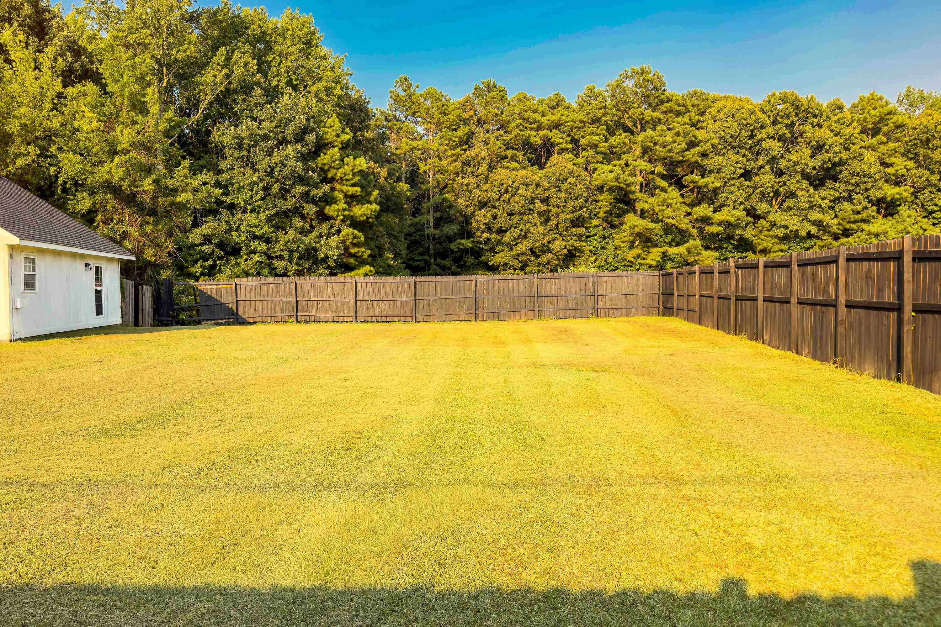 450 Hwy 63, Phil Campbell, AL 35581 — photo 12