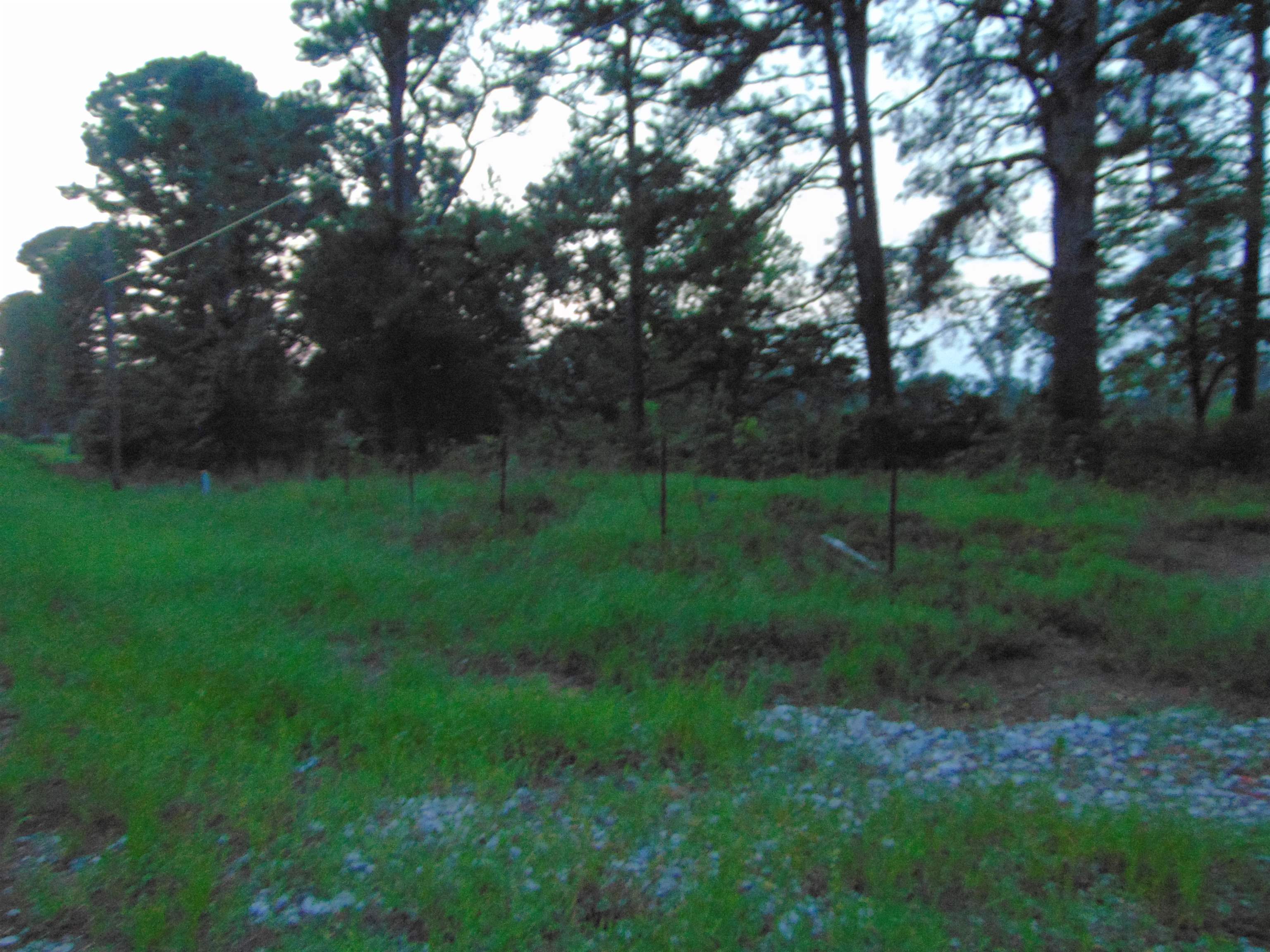 0 Co Rd 8, Waterloo, AL 35677 — photo 11