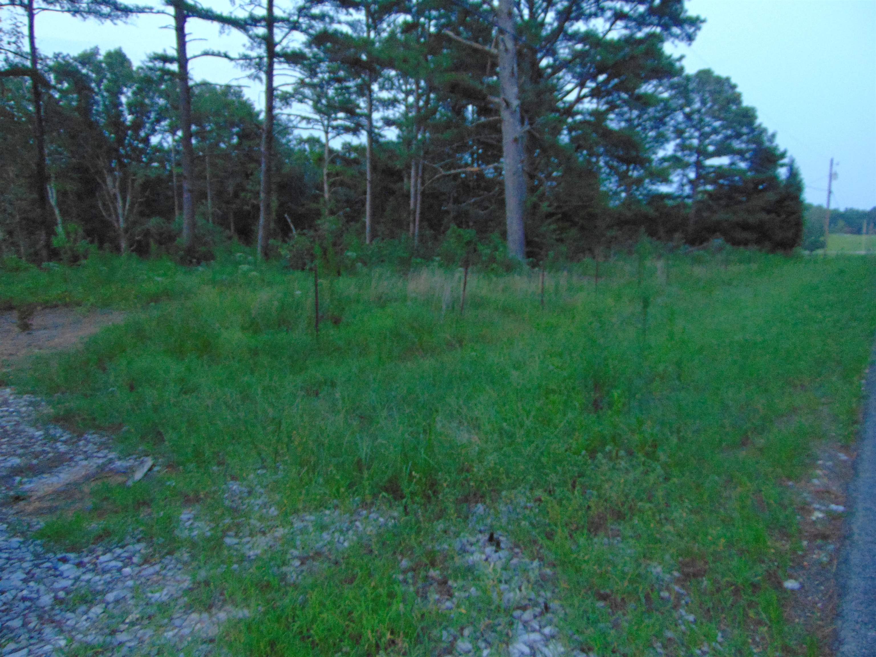 0 Co Rd 8, Waterloo, AL 35677 — photo 12