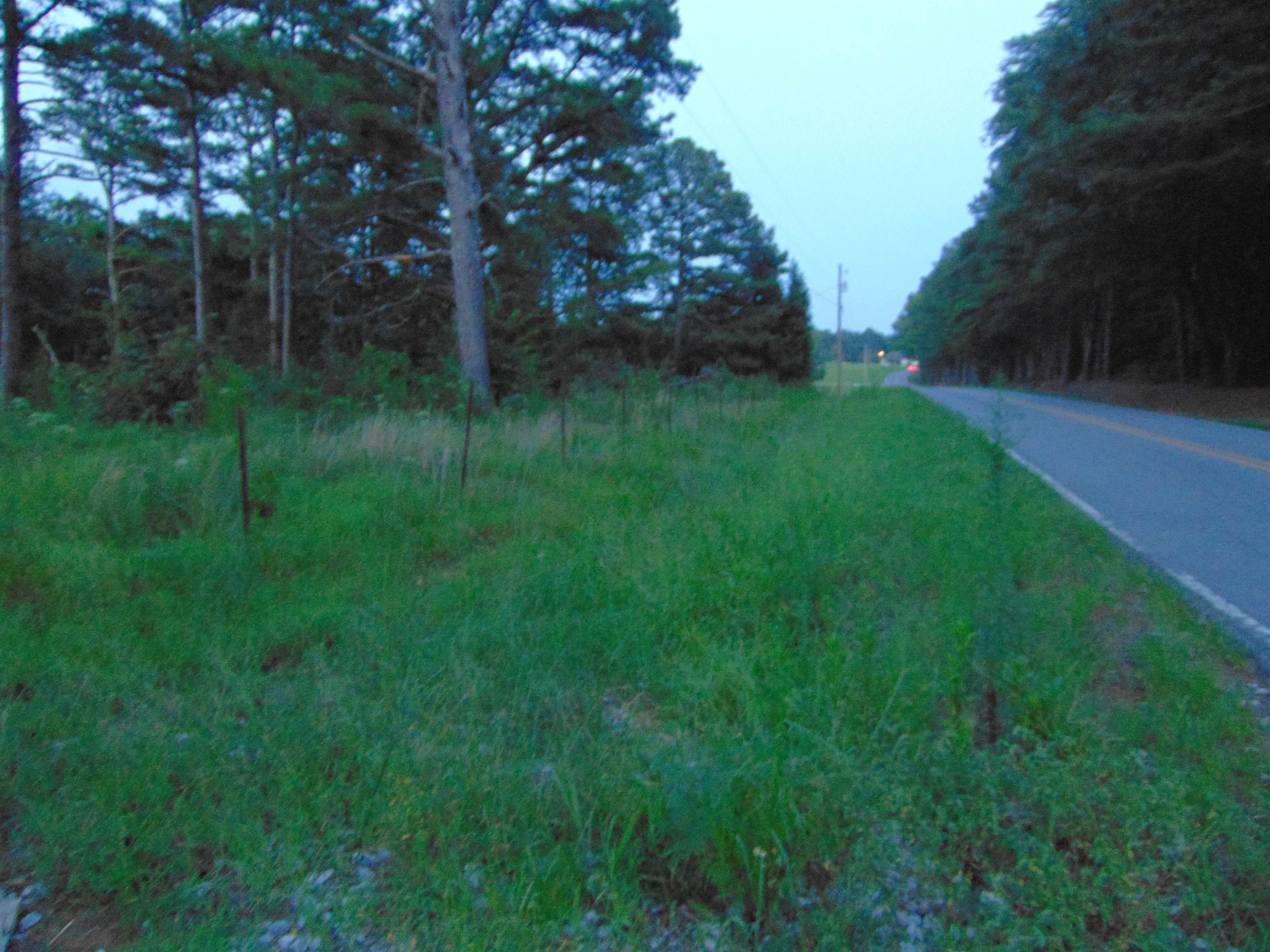 0 Co Rd 8, Waterloo, AL 35677 — photo 5