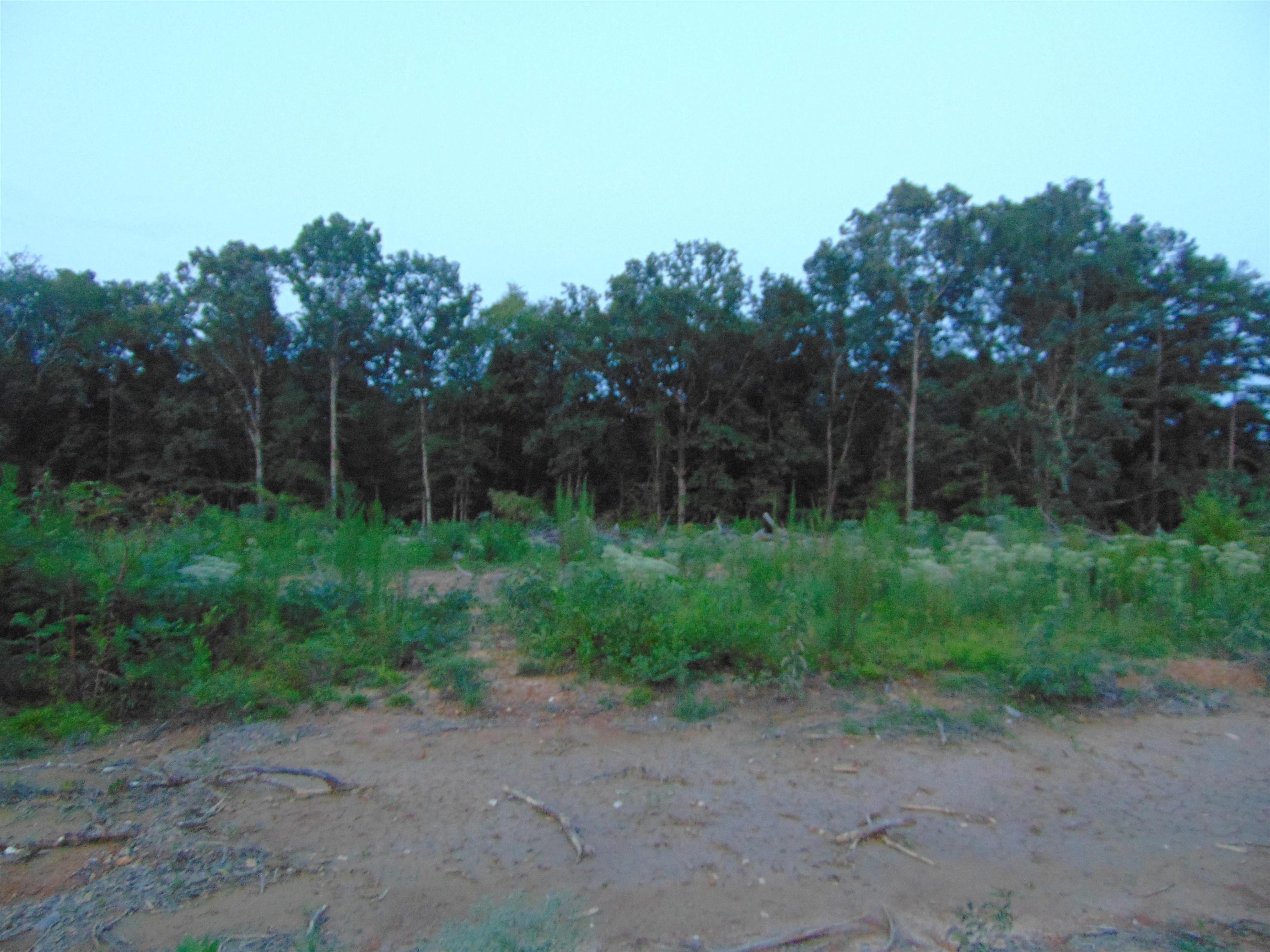 0 Co Rd 8, Waterloo, AL 35677 — photo 7