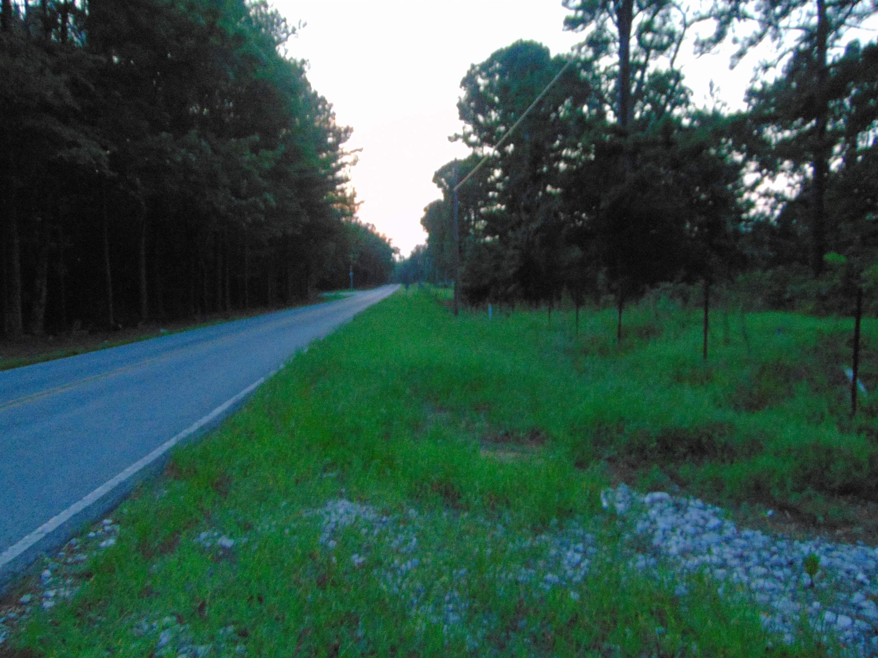 0 Co Rd 8, Waterloo, AL 35677 — photo 10