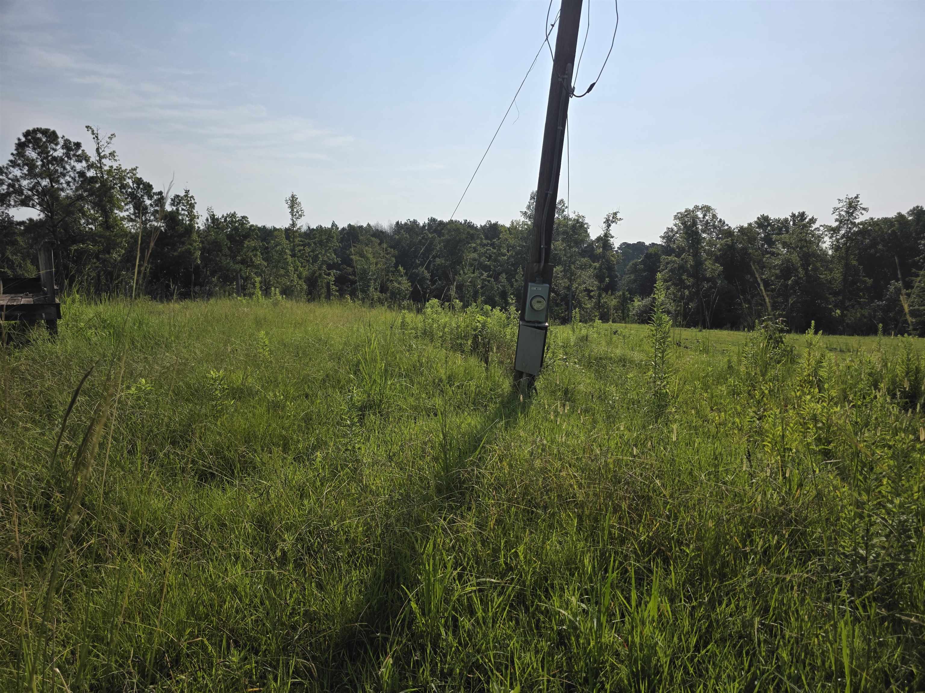 823 Crabapple Ln, Vandiver, AL 35176 — photo 5