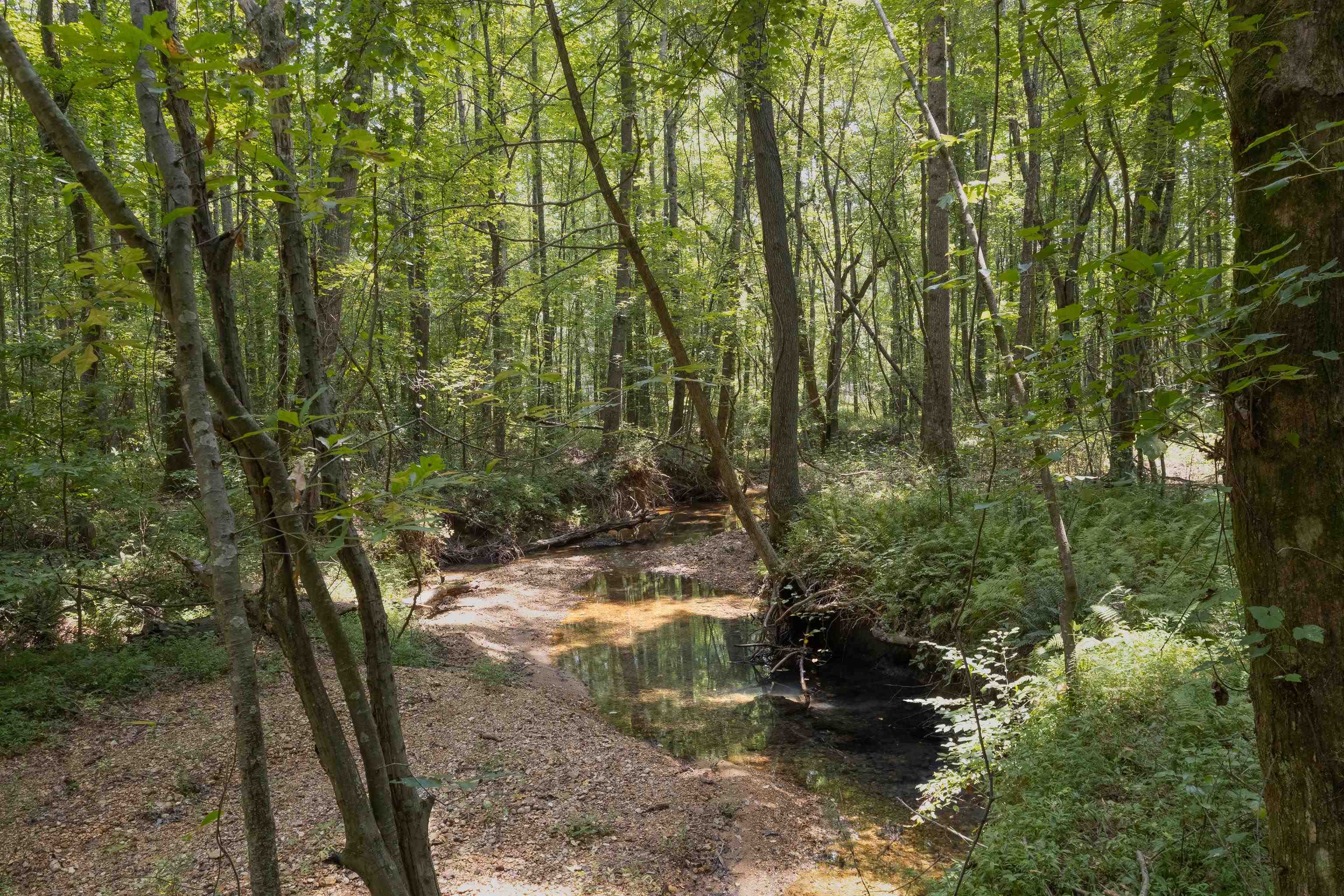 1511 Co Rd 74, Florence, AL 35633 — photo 4