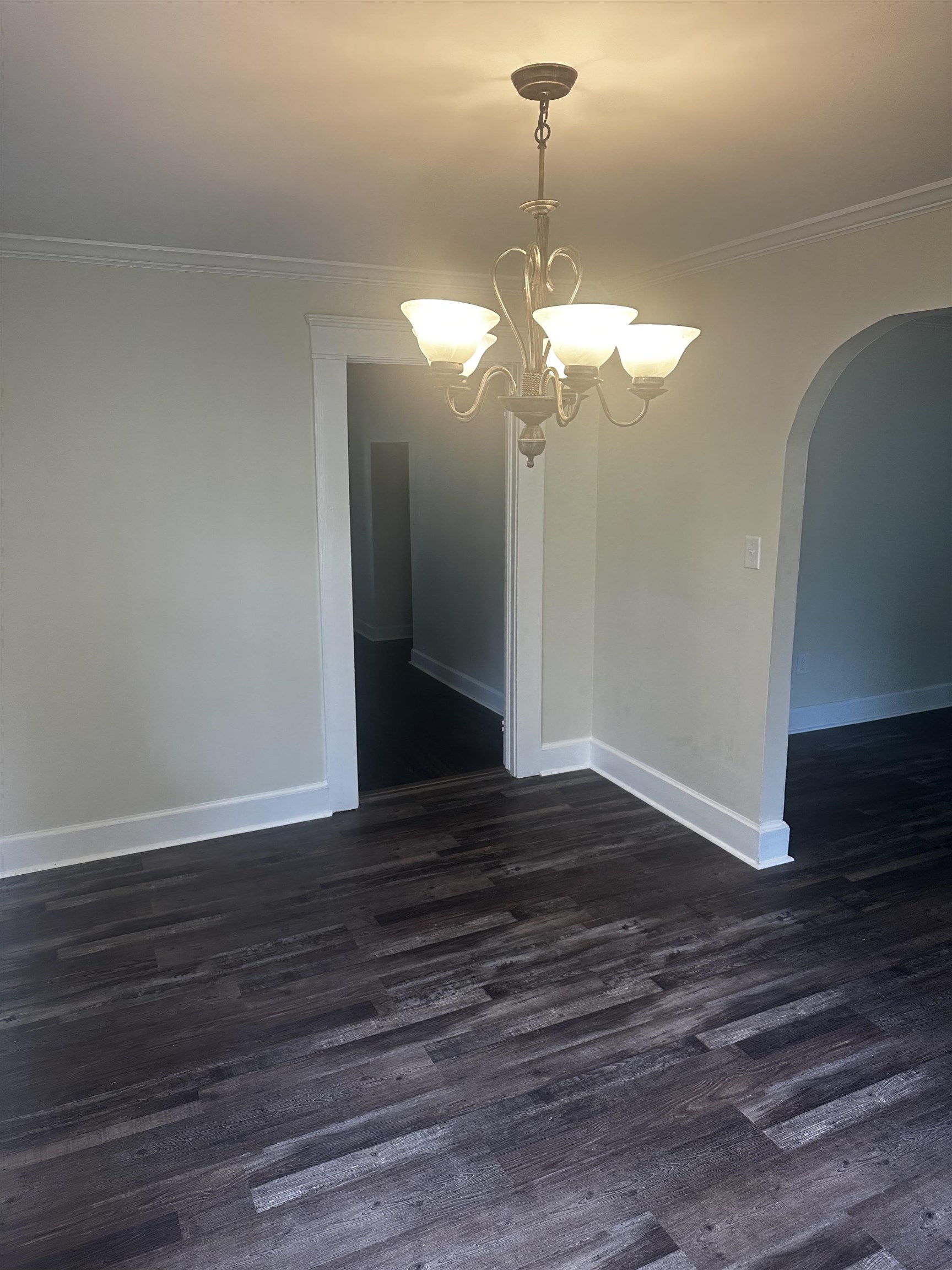 207 Garfield Ave, Florence, AL 35630 — photo 5