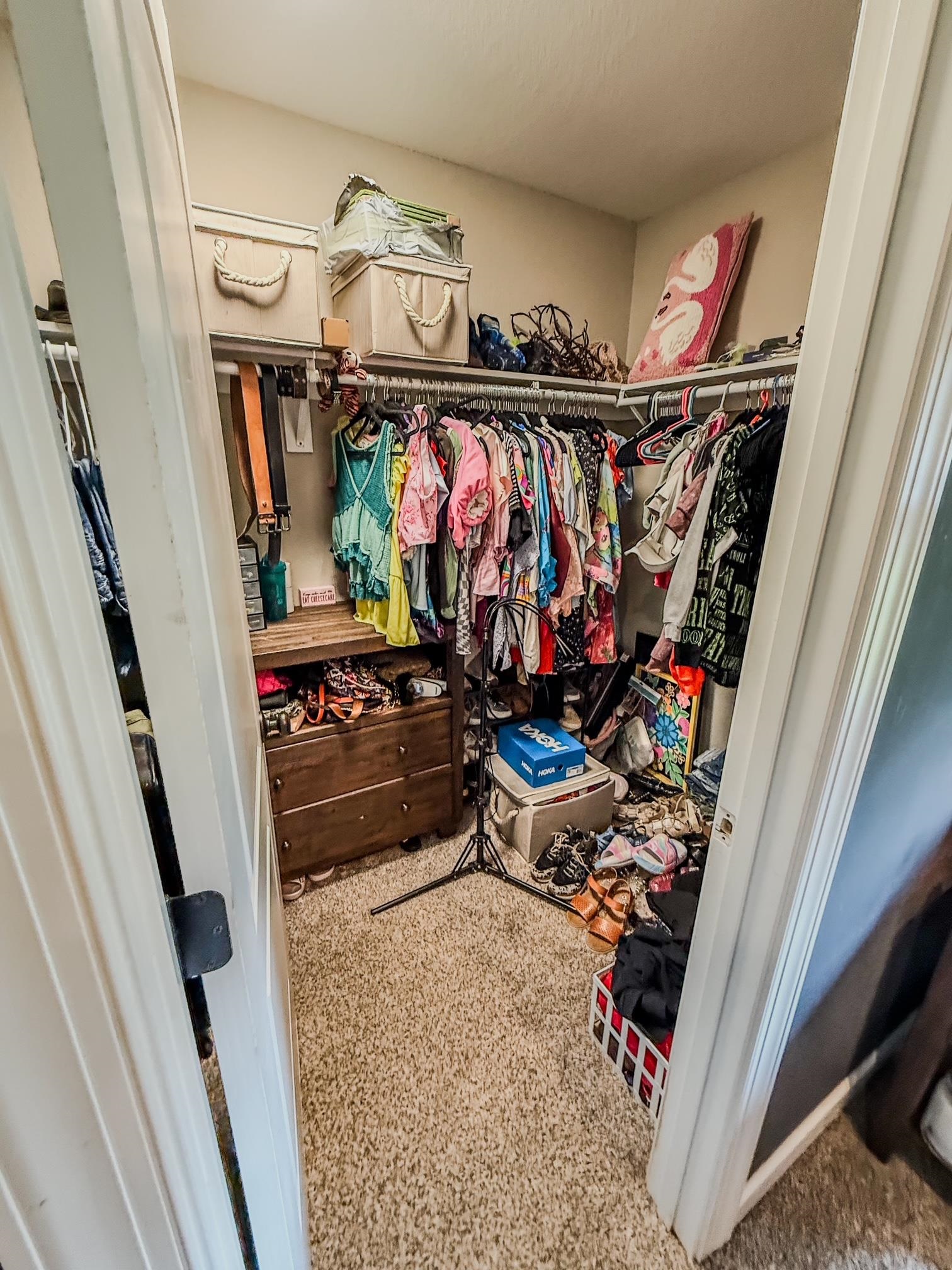 2012 Wildwood, Muscle Shoals, AL 35661 — photo 12