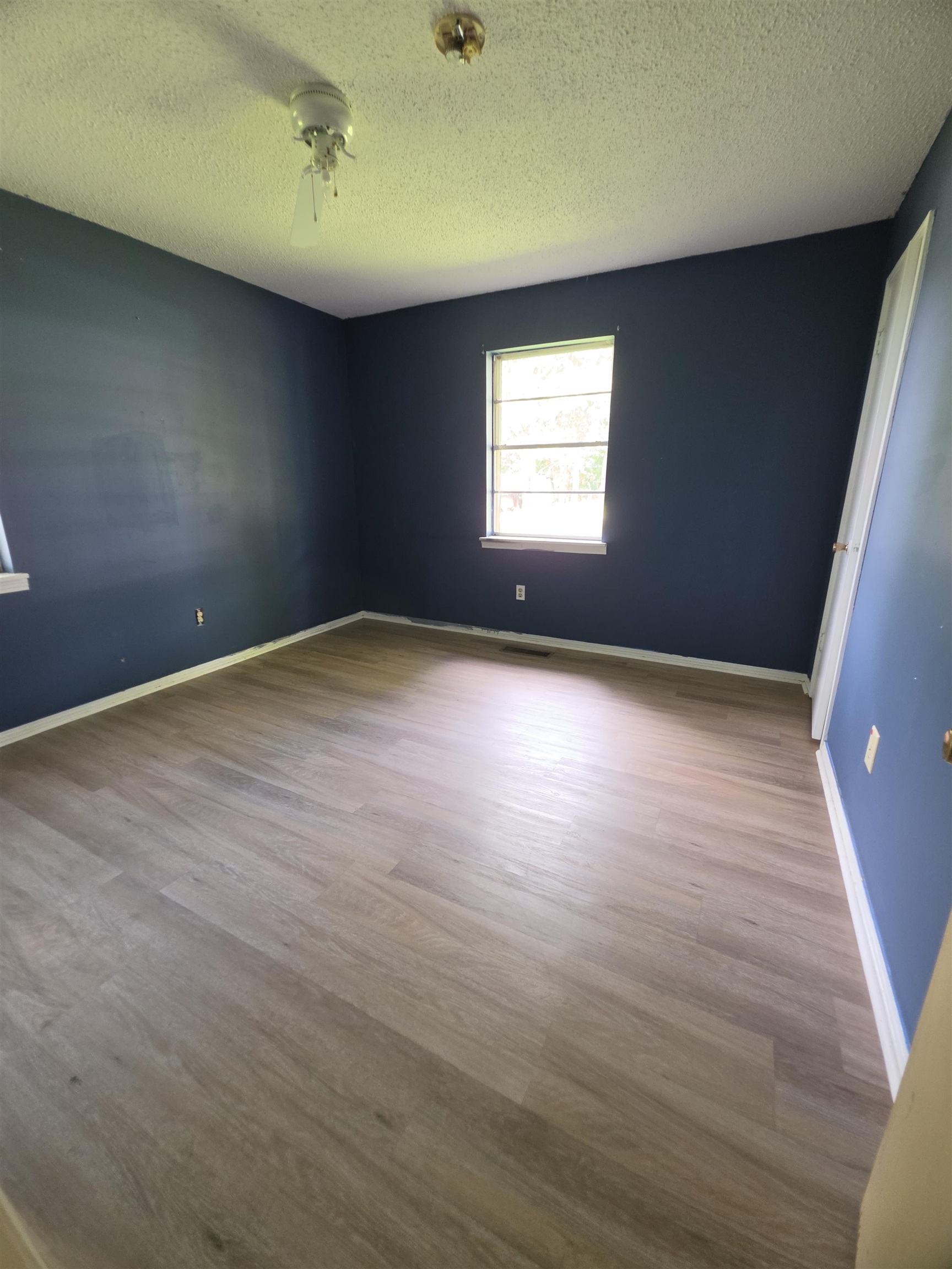 142 Gail Ave, Russellville, AL 35653 — photo 6