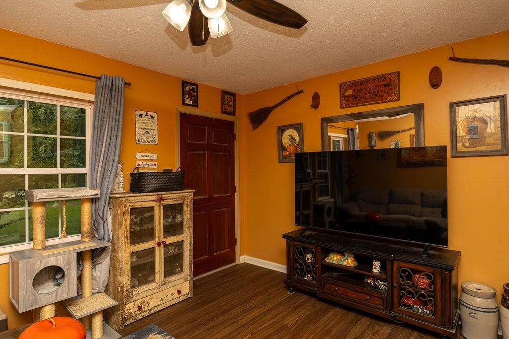 5778 Co Rd 94, Florence, AL 35634 — photo 4