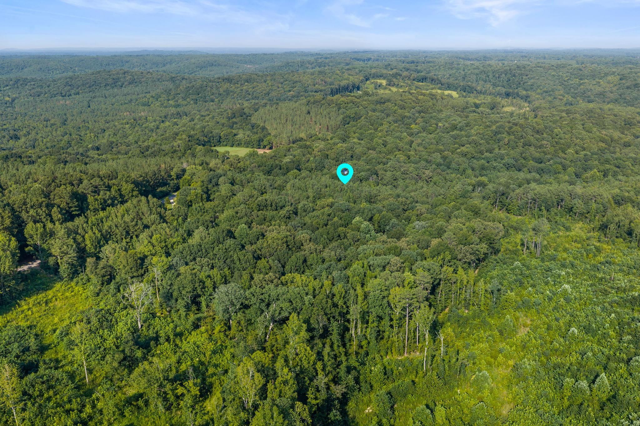 0 Jones Rd, Russellville, AL 35653 — photo 3