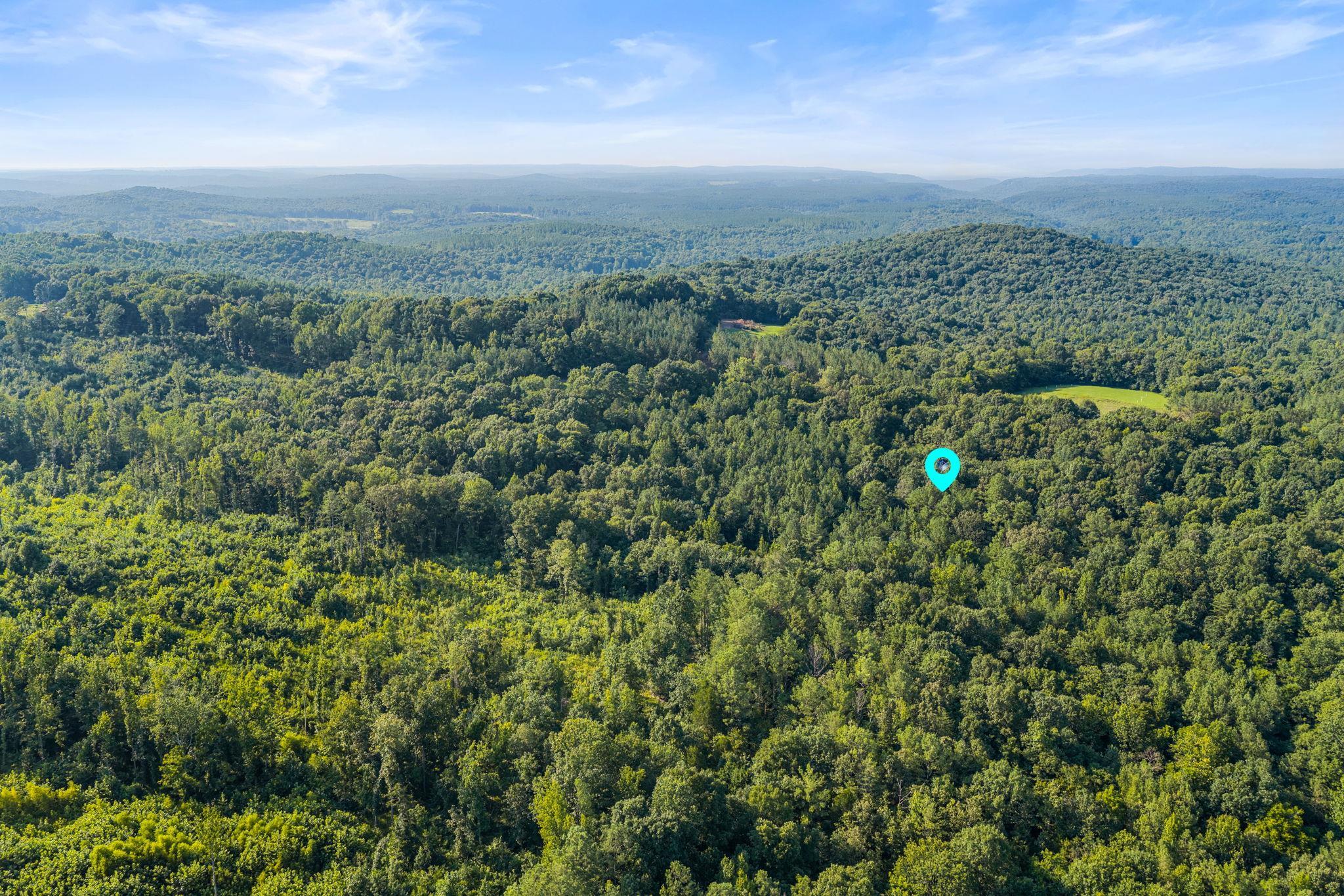 0 Jones Rd, Russellville, AL 35653 — photo 4