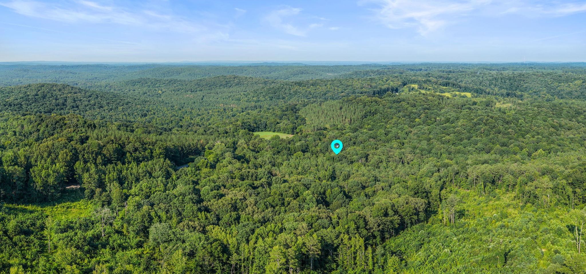 0 Jones Rd, Russellville, AL 35653 — photo 7