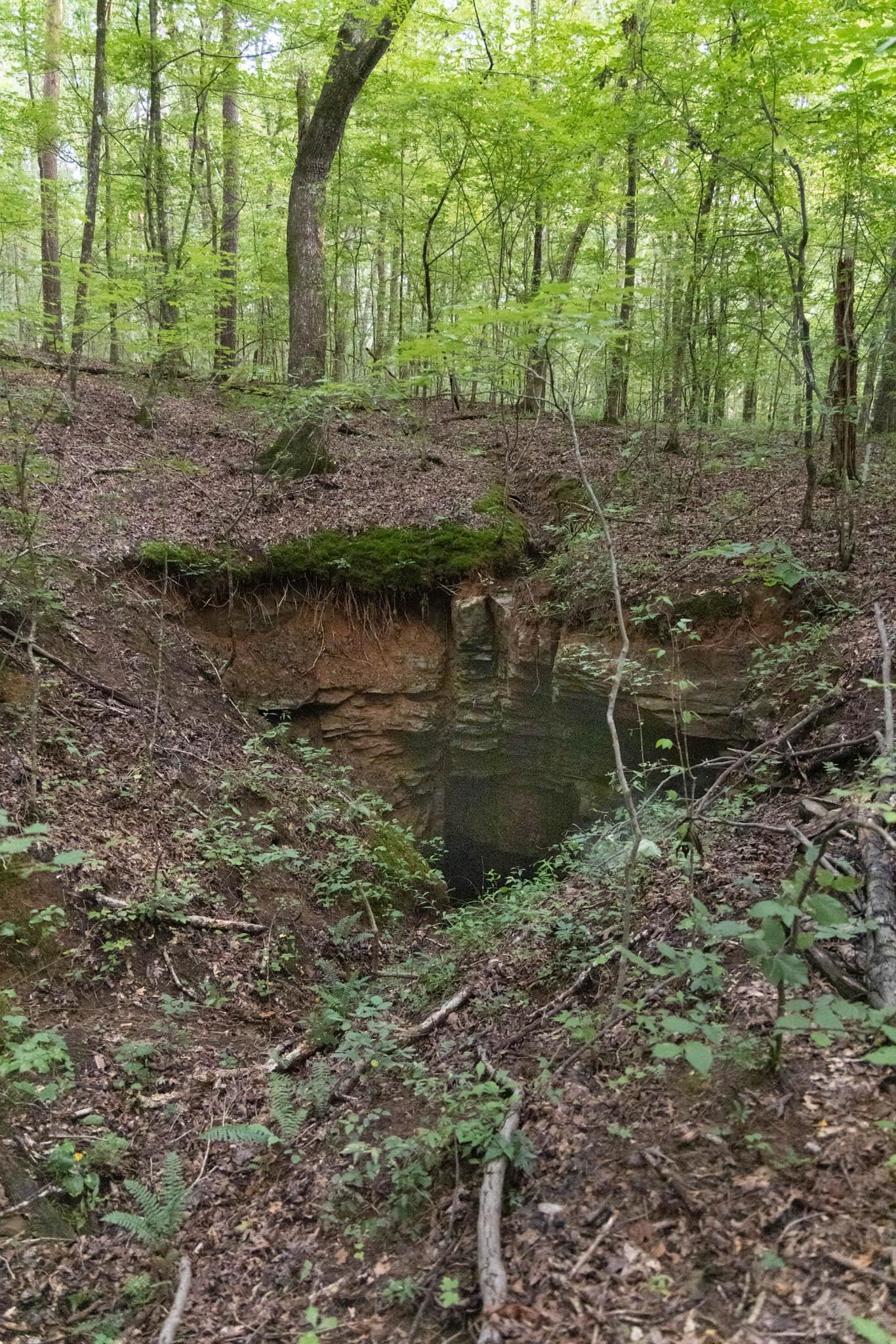 0 Jones Rd, Russellville, AL 35653 — photo 10