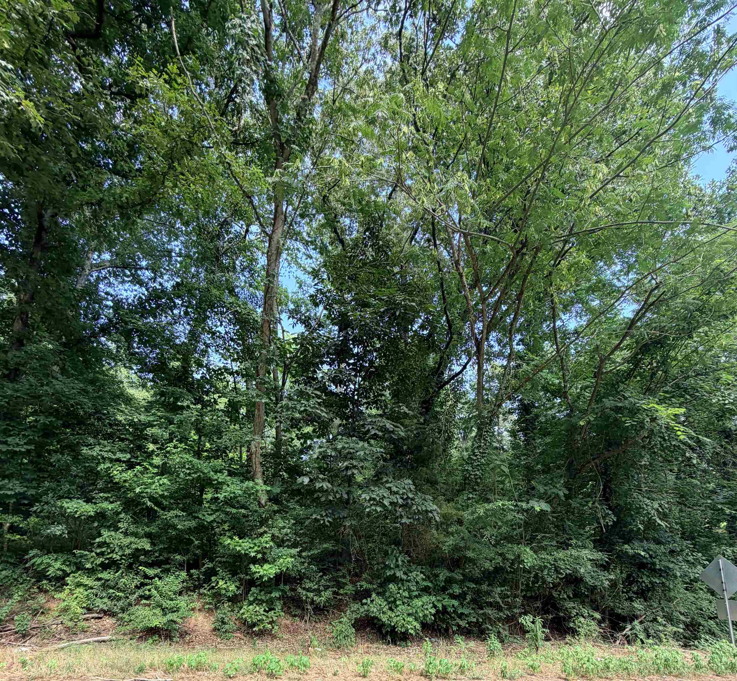0 Willingham Hill Rd, Tuscumbia, AL 35674 — photo 2