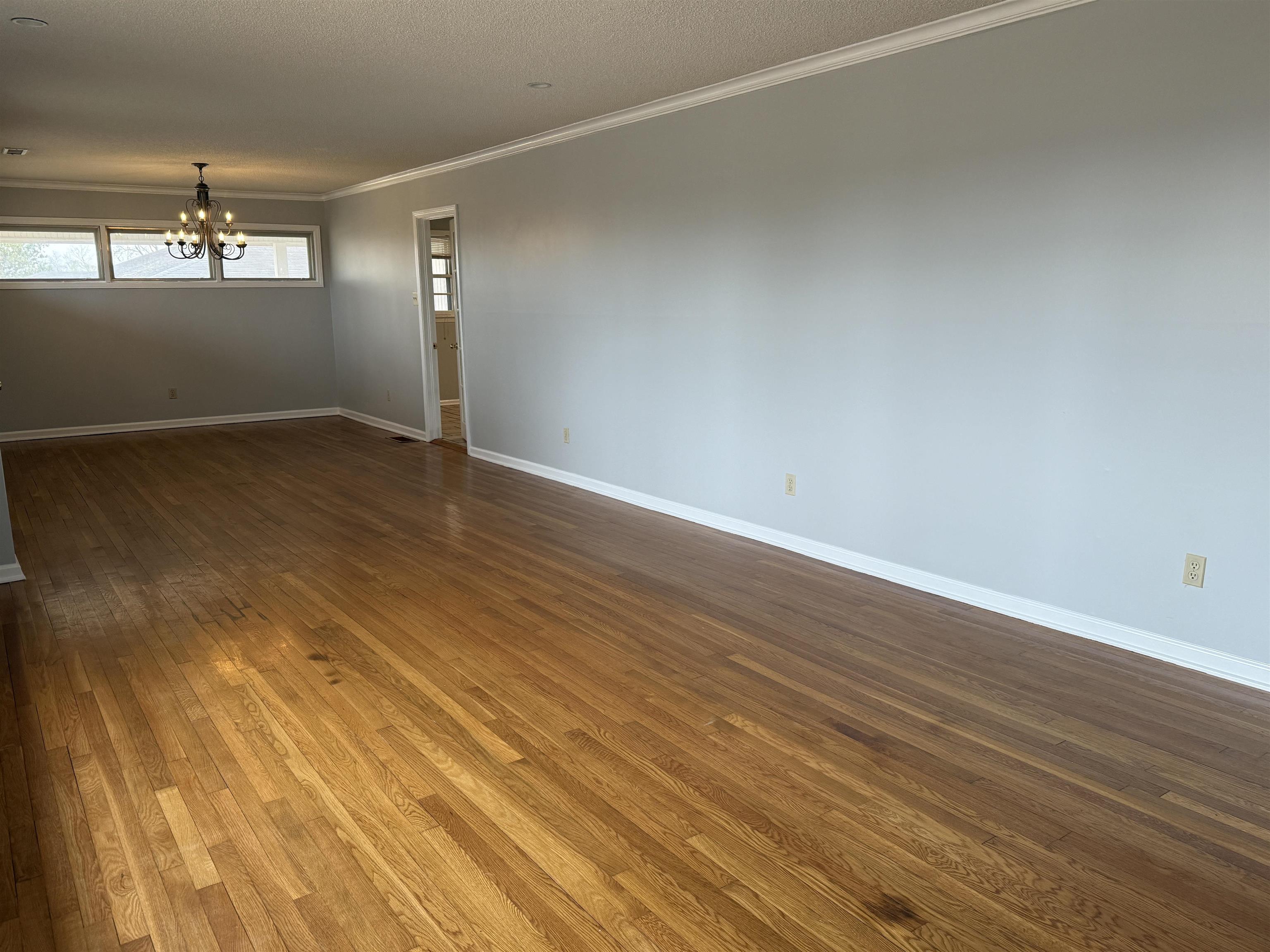 2314 Sherrod Ave, Florence, AL 35630 — photo 5