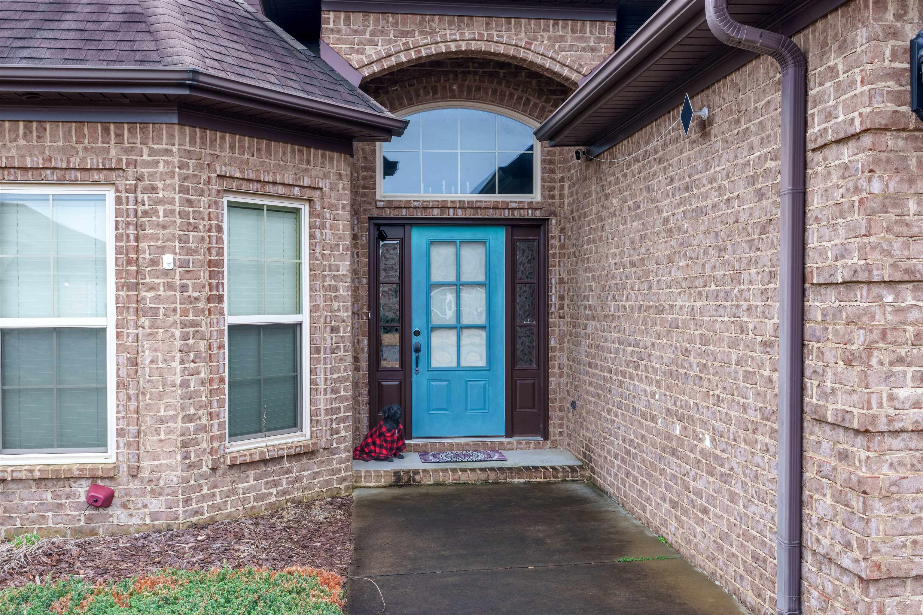 113 Cottonwood Dr, Muscle Shoals, AL 35661 — photo 3