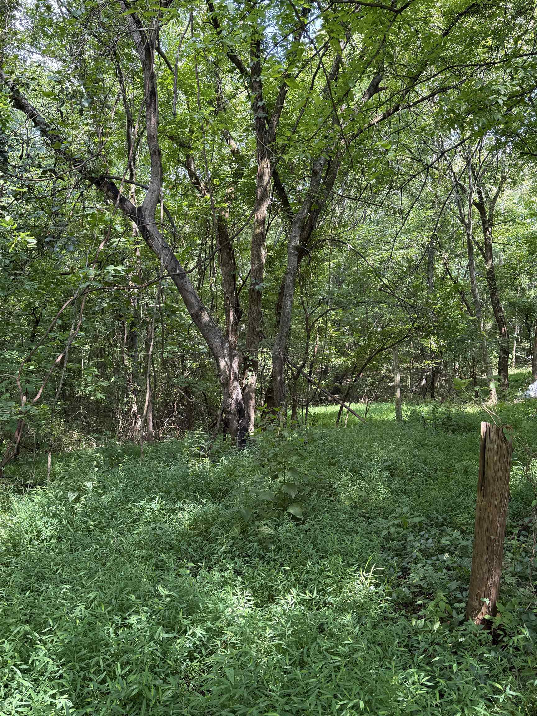 5470 Frankfort Rd, Tuscumbia, AL 35674 — photo 3