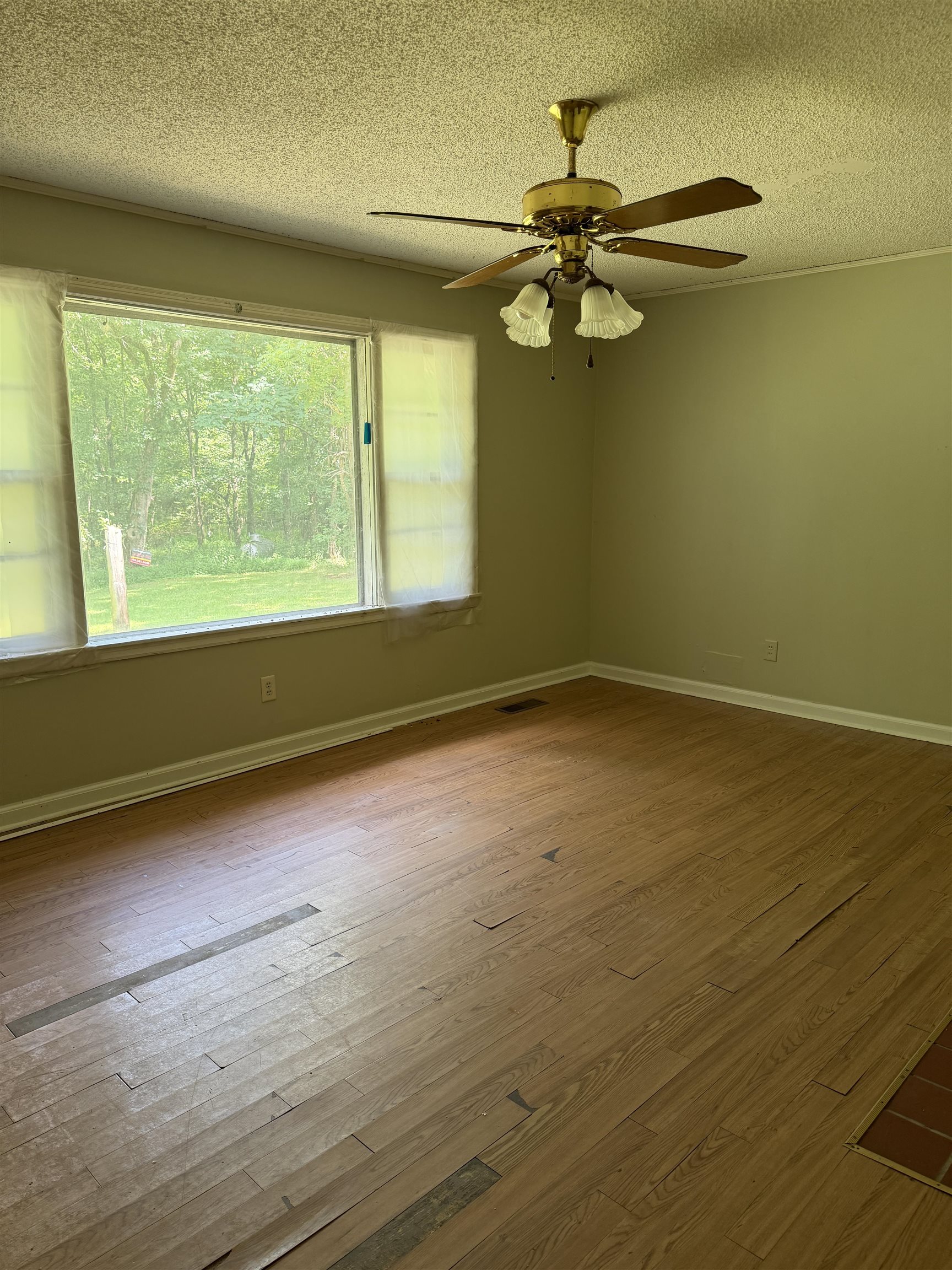 5470 Frankfort Rd, Tuscumbia, AL 35674 — photo 6
