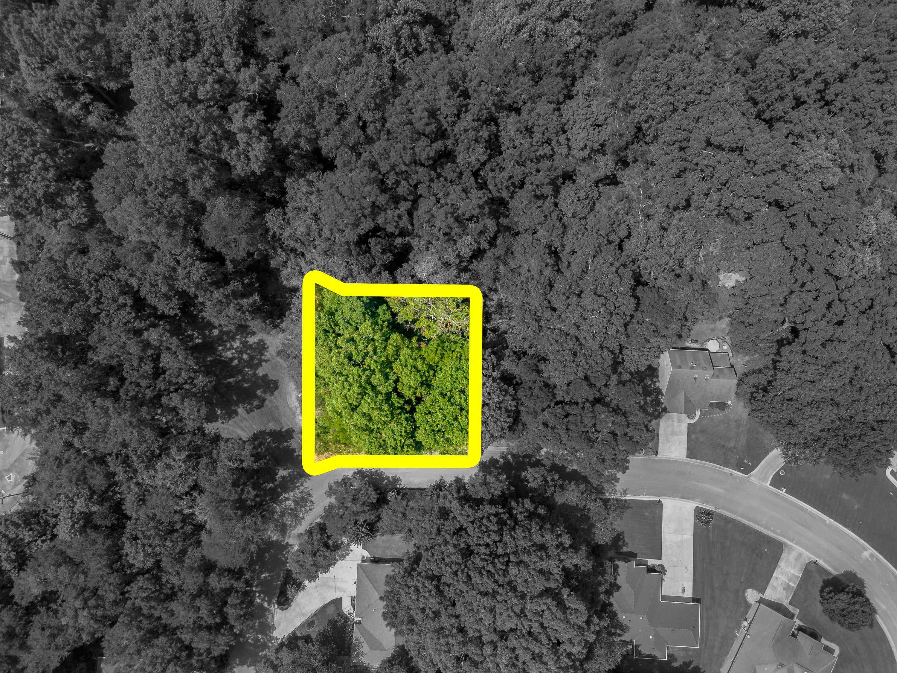 0 Dora Dr, Florence, AL 35633 — photo 9
