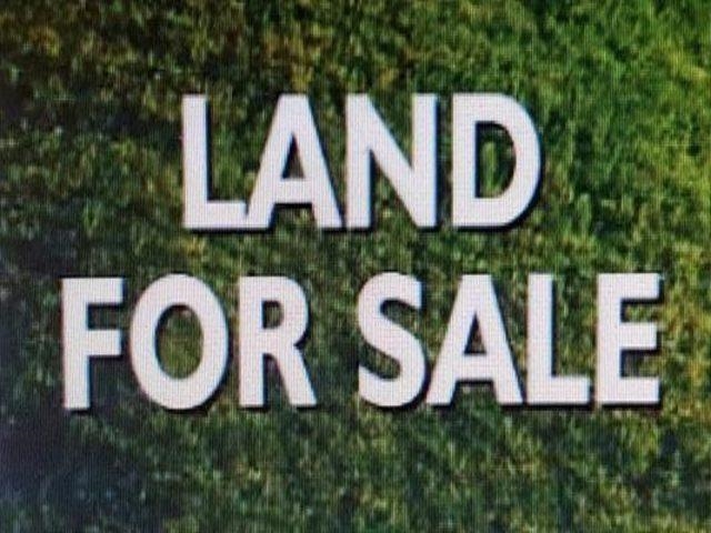00 Phillips Dr, Killen, AL 35645 — photo 1