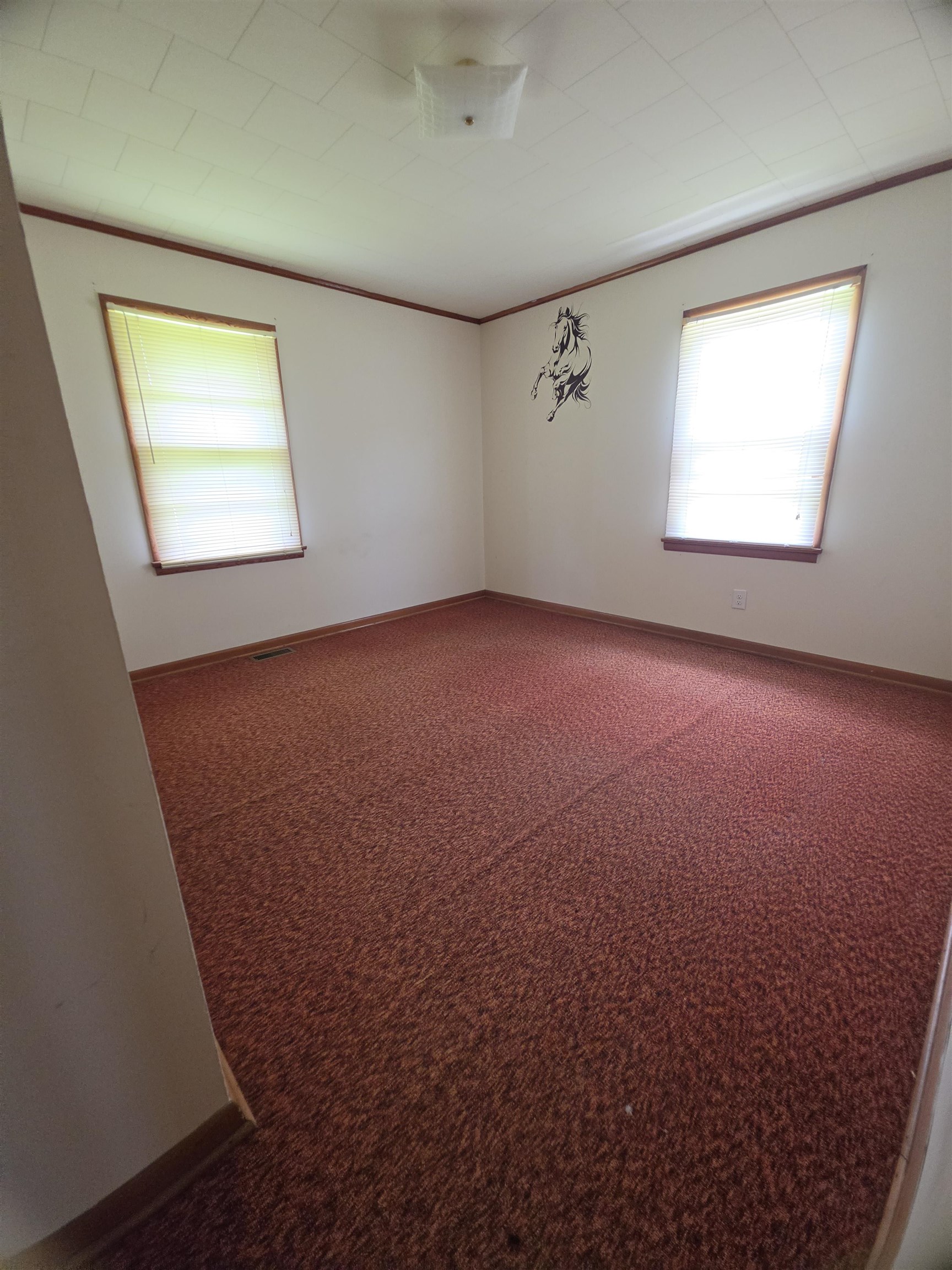 370 Hwy 81, Phil Campbell, AL 35581 — photo 5