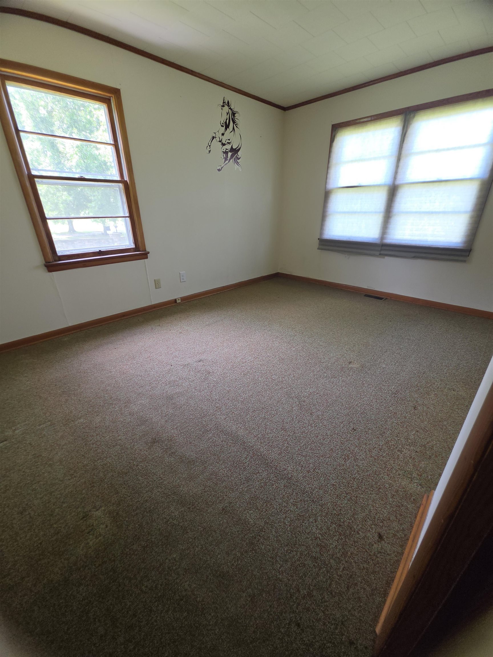 370 Hwy 81, Phil Campbell, AL 35581 — photo 6