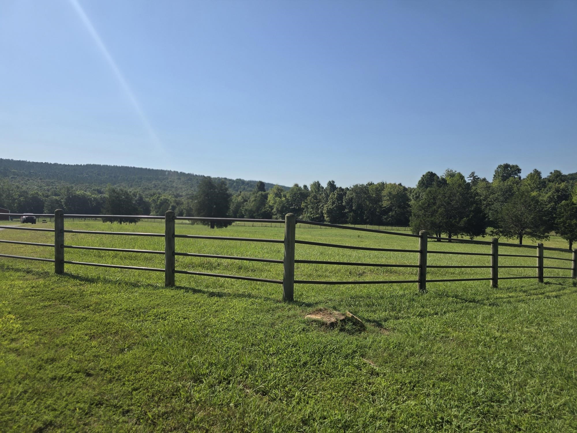 10708 Mt Hester Rd, Cherokee, AL 35616 — photo 2