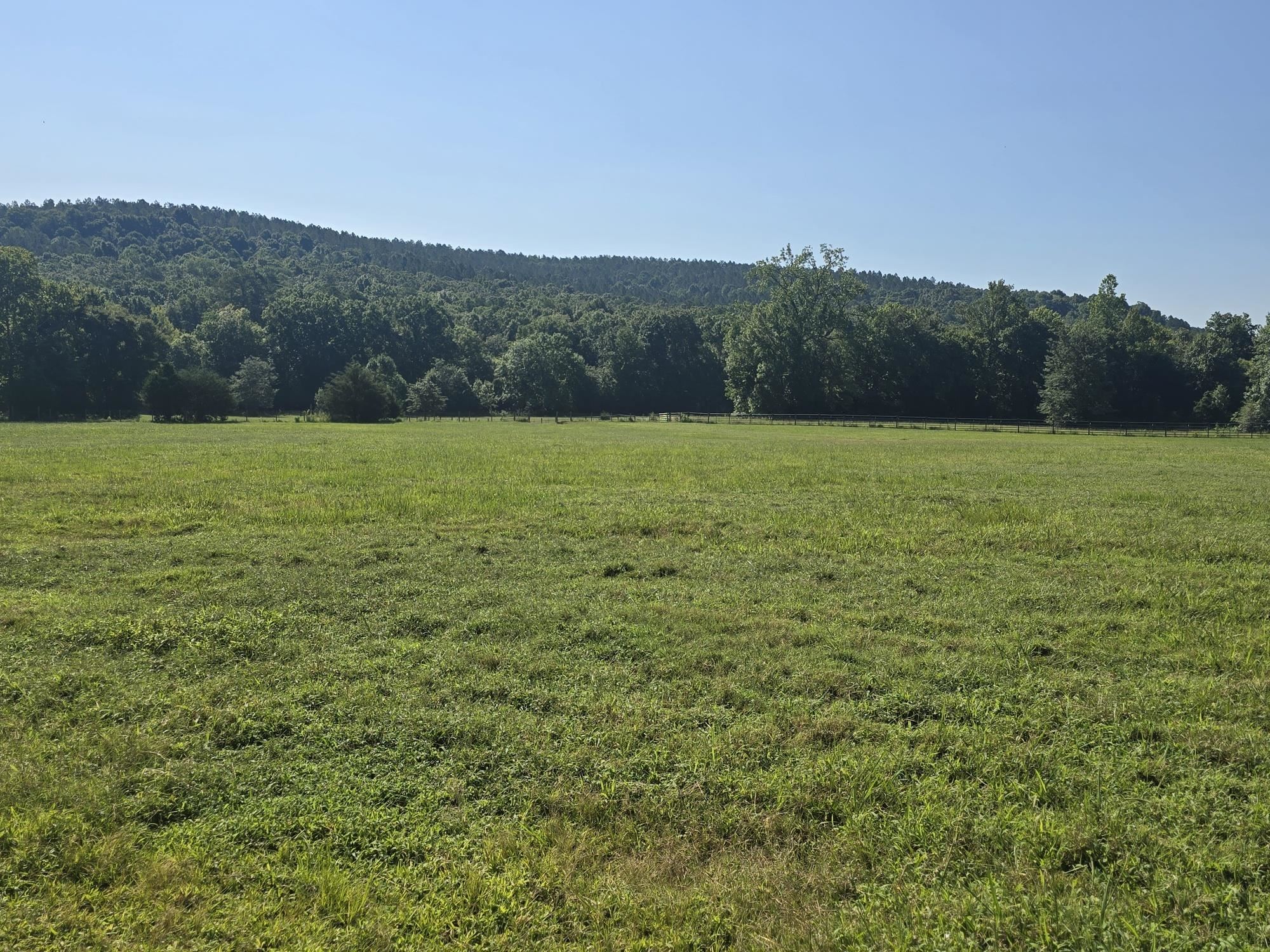 10708 Mt Hester Rd, Cherokee, AL 35616 — photo 3