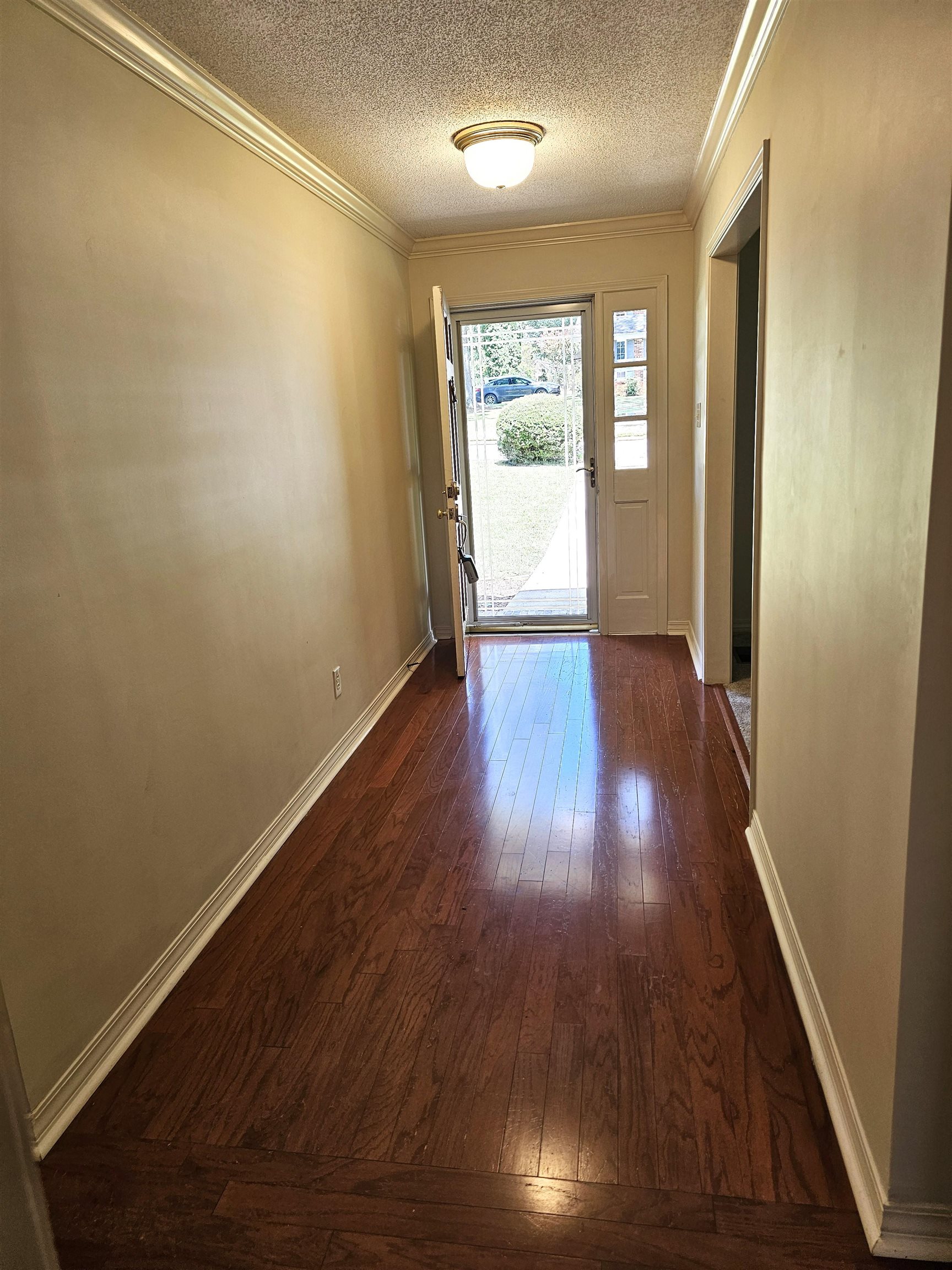 302 Robinhood Dr, Florence, AL 35633 — photo 2