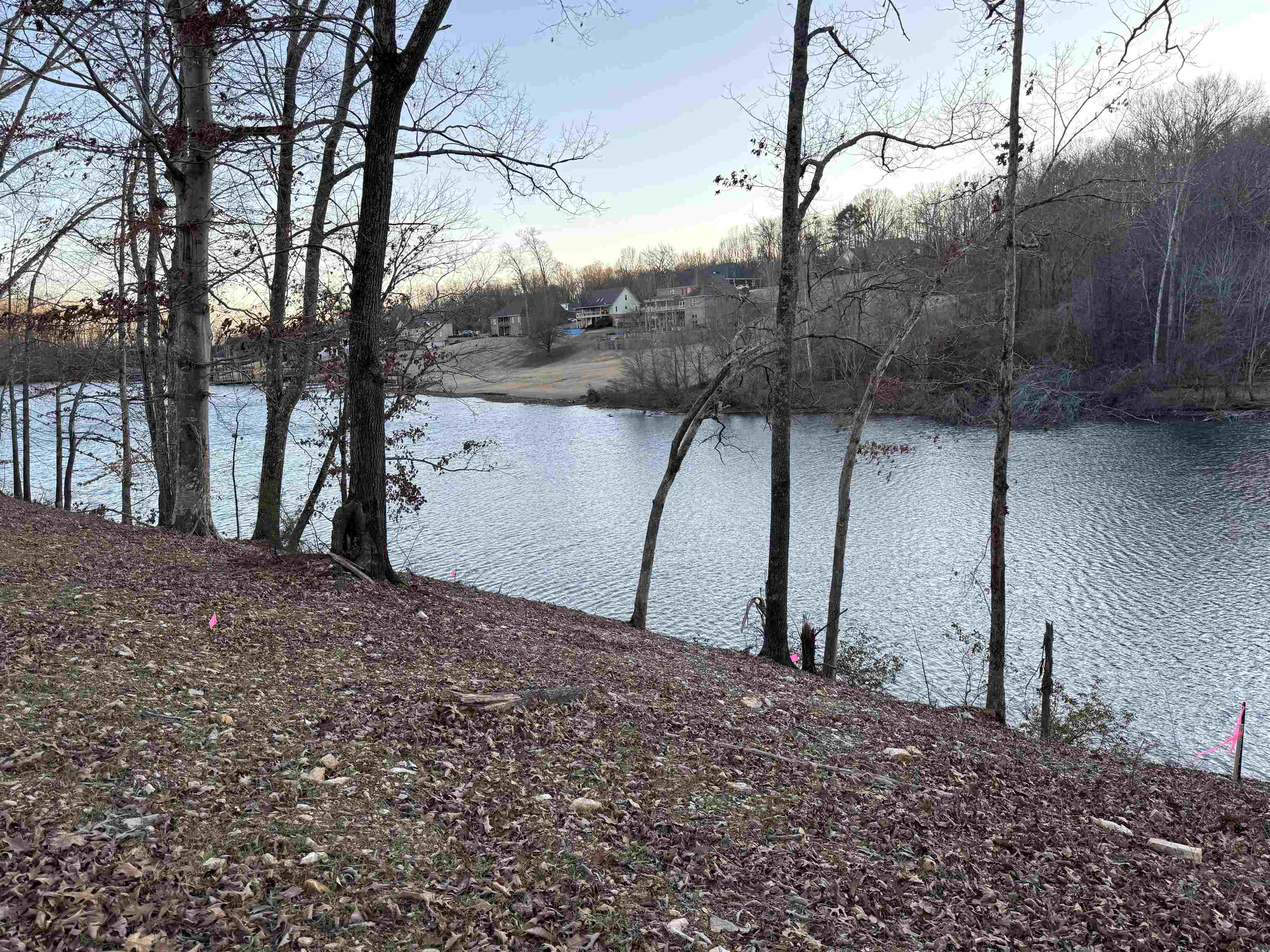 58 Cole Creek Cove, Killen, AL 35645 — photo 4