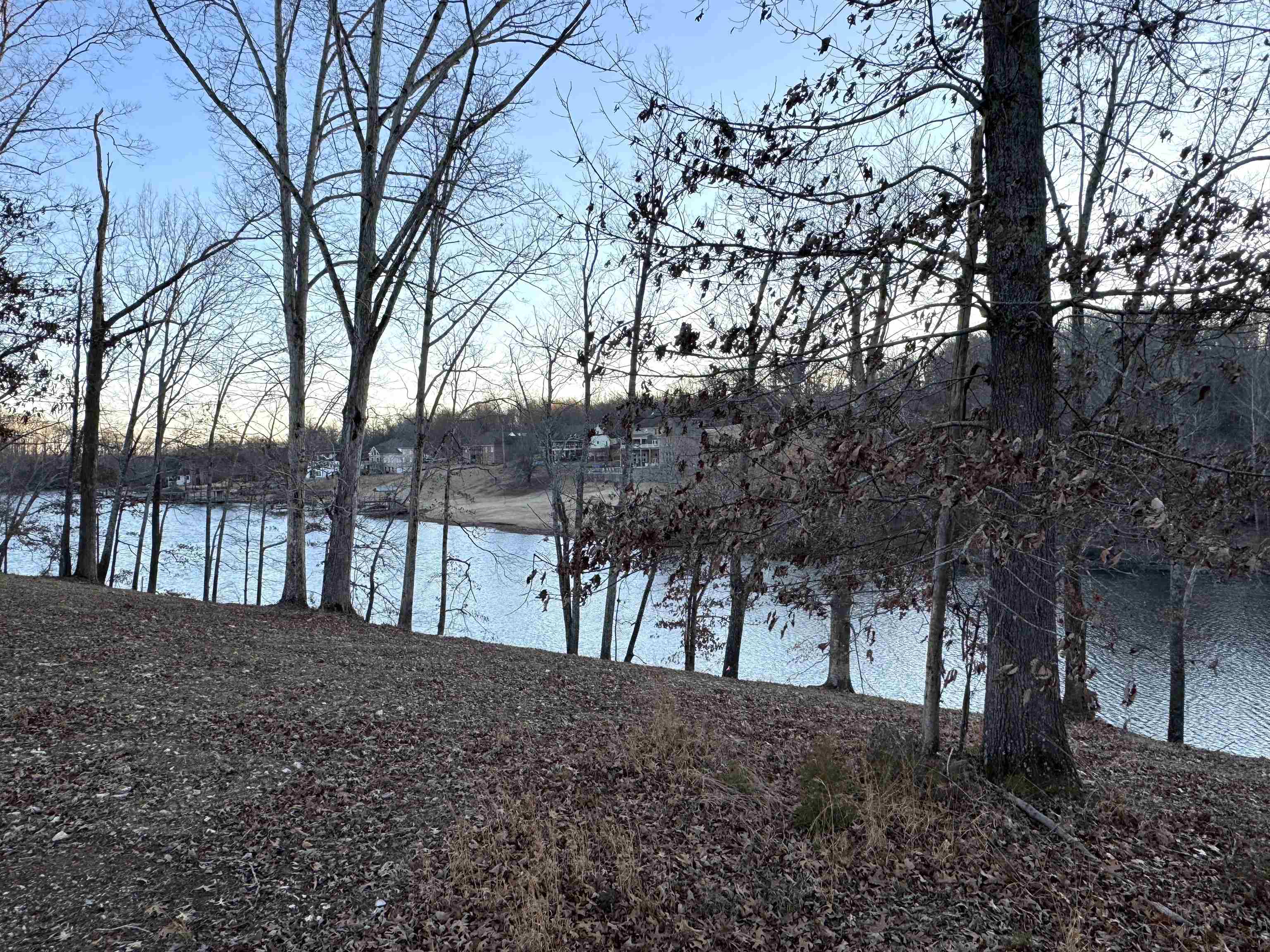 58 Cole Creek Cove, Killen, AL 35645 — photo 5
