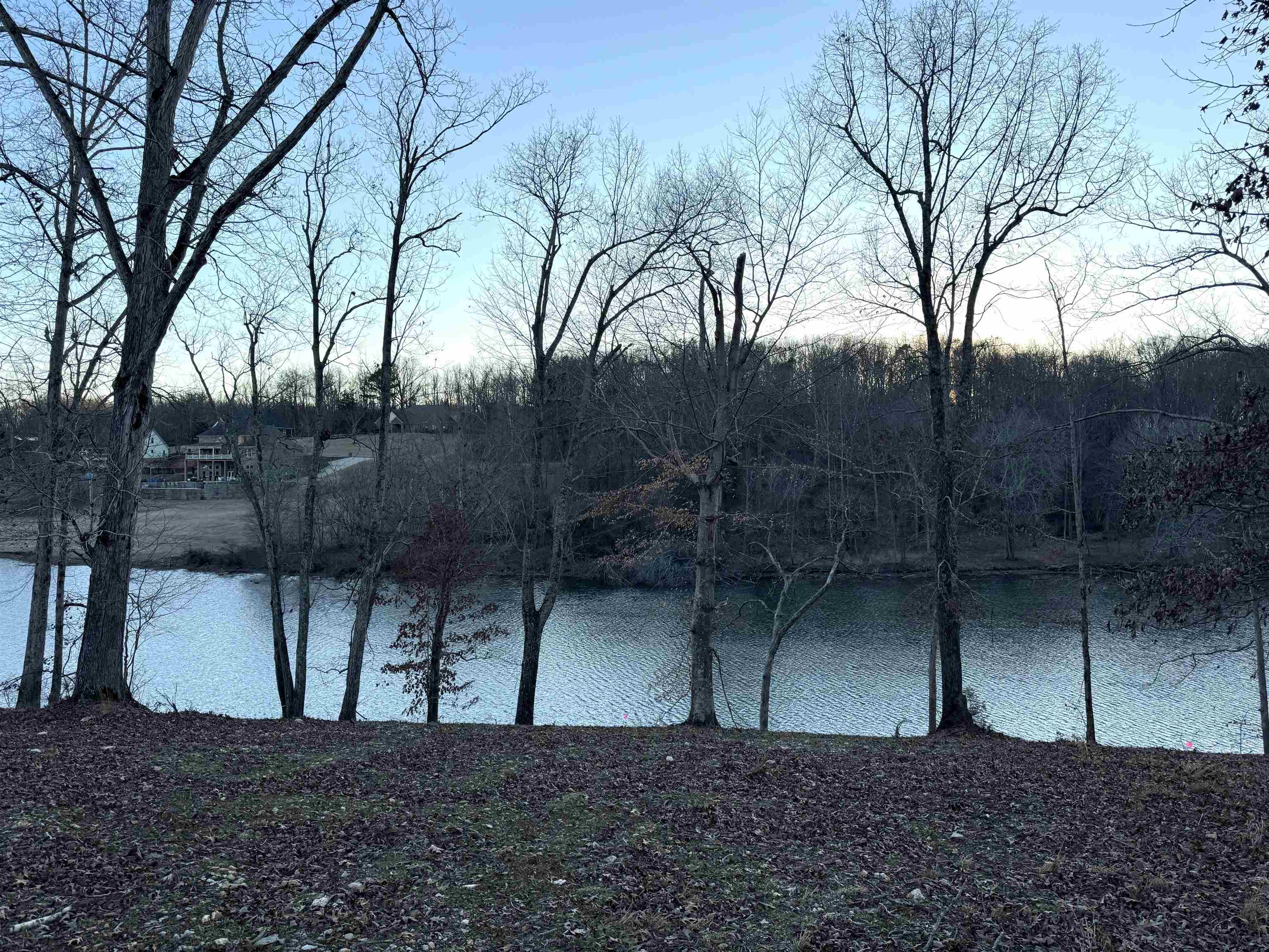 58 Cole Creek Cove, Killen, AL 35645 — photo 6