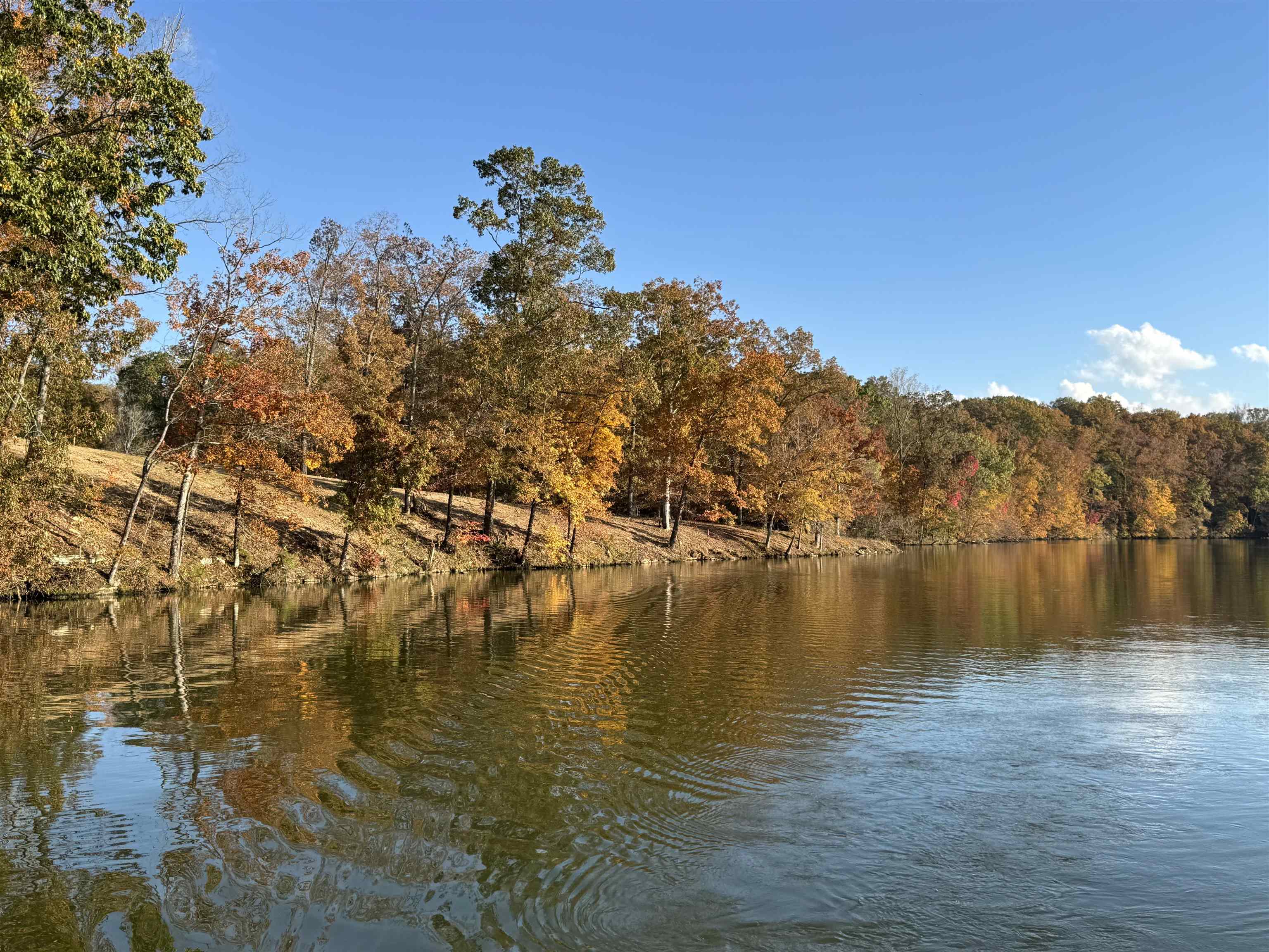 58 Cole Creek Cove, Killen, AL 35645 — photo 8