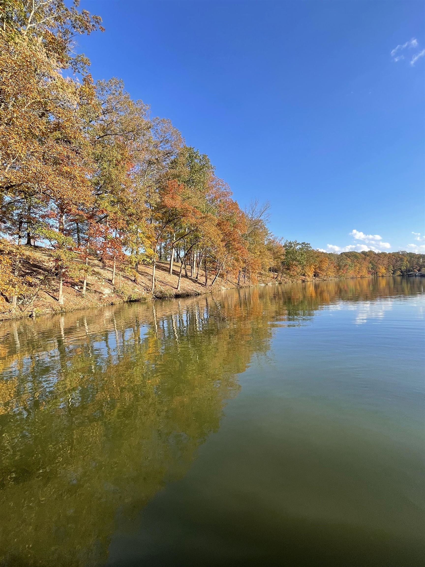 88 Cole Creek Cove, Killen, AL 35645 — photo 9