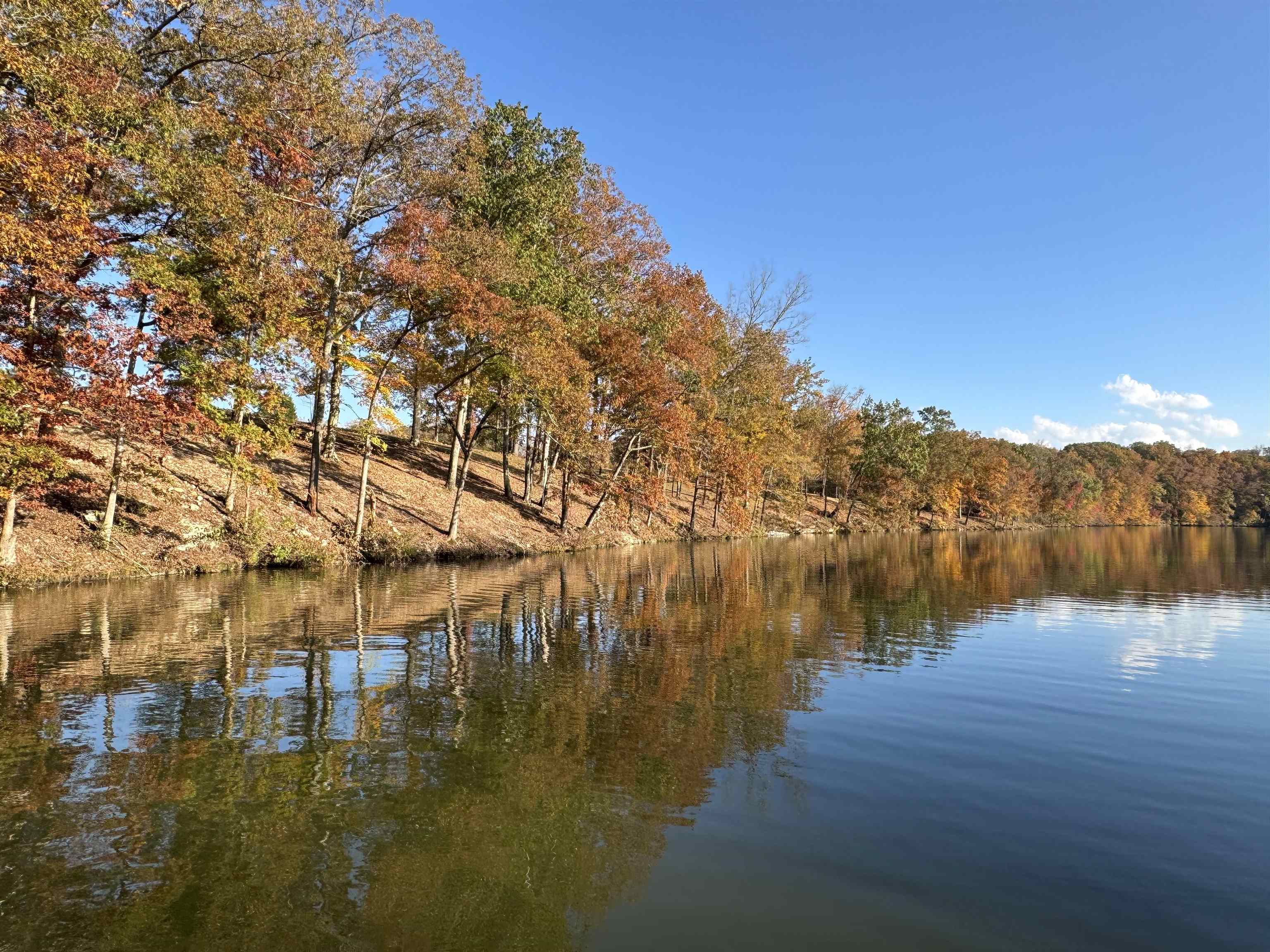 132 Cole Creek Cove, Killen, AL 35645 — photo 1