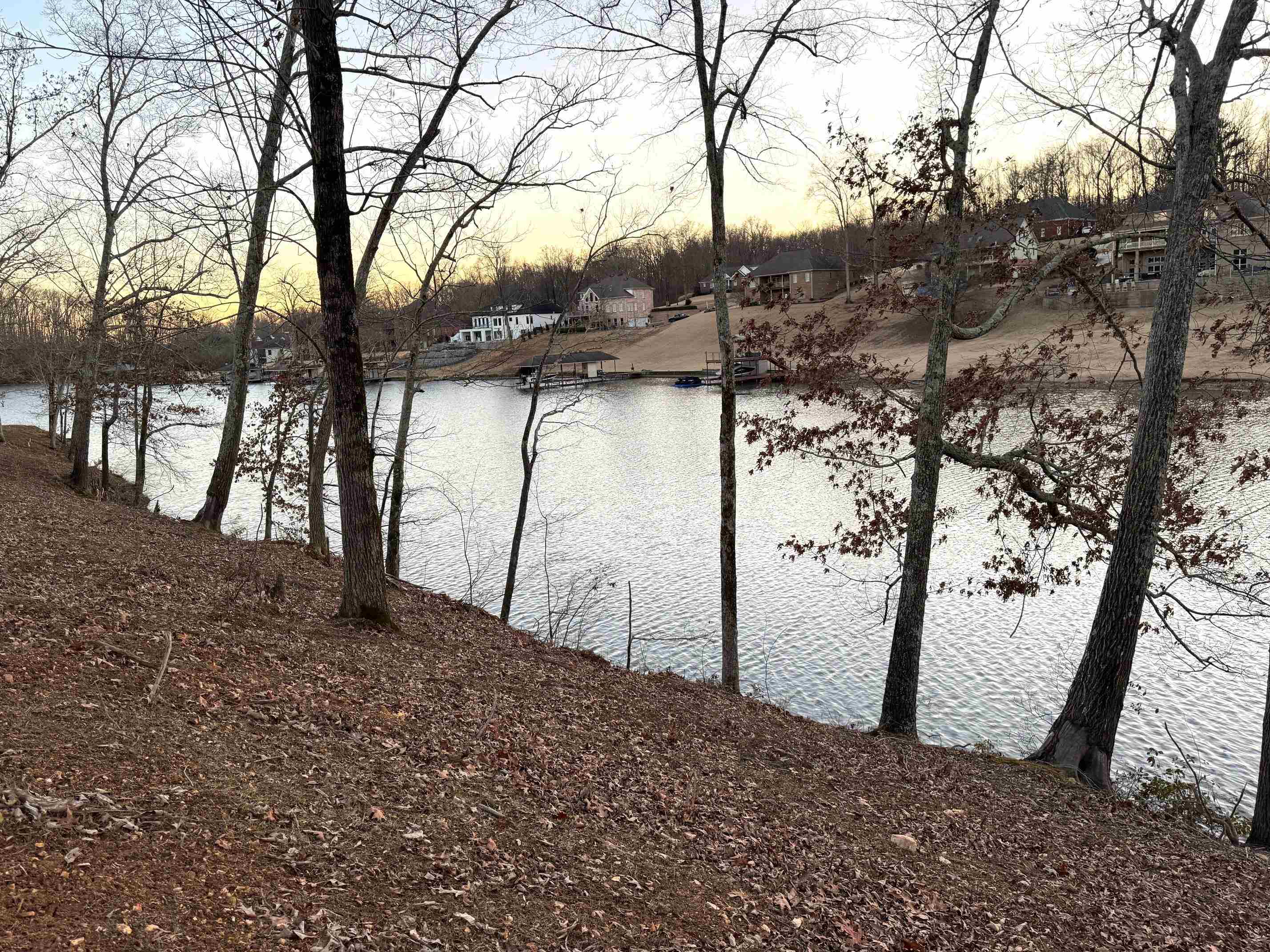 132 Cole Creek Cove, Killen, AL 35645 — photo 6