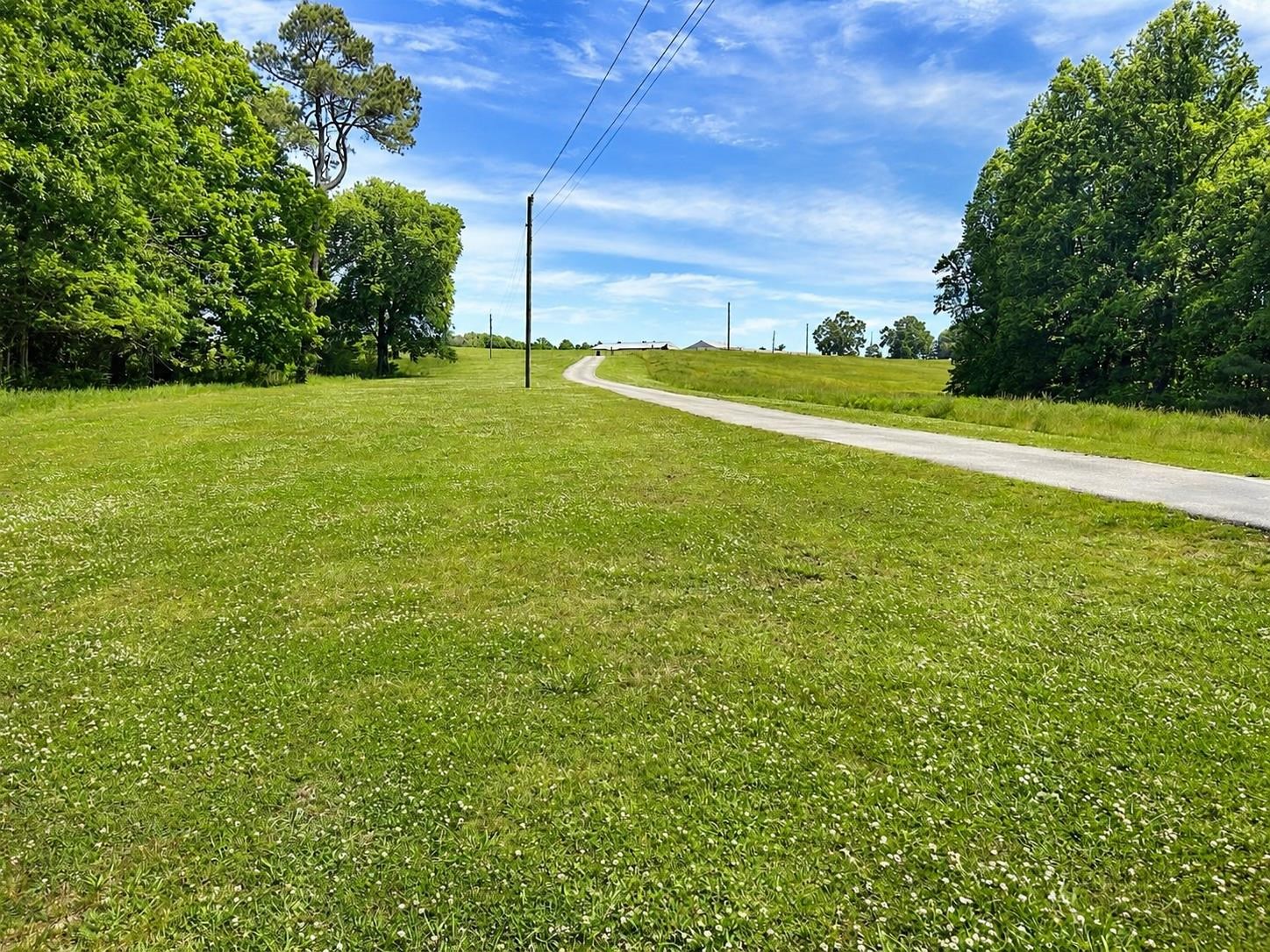 81 Wehunt Dr, Phil Campbell, AL 35581 — photo 2