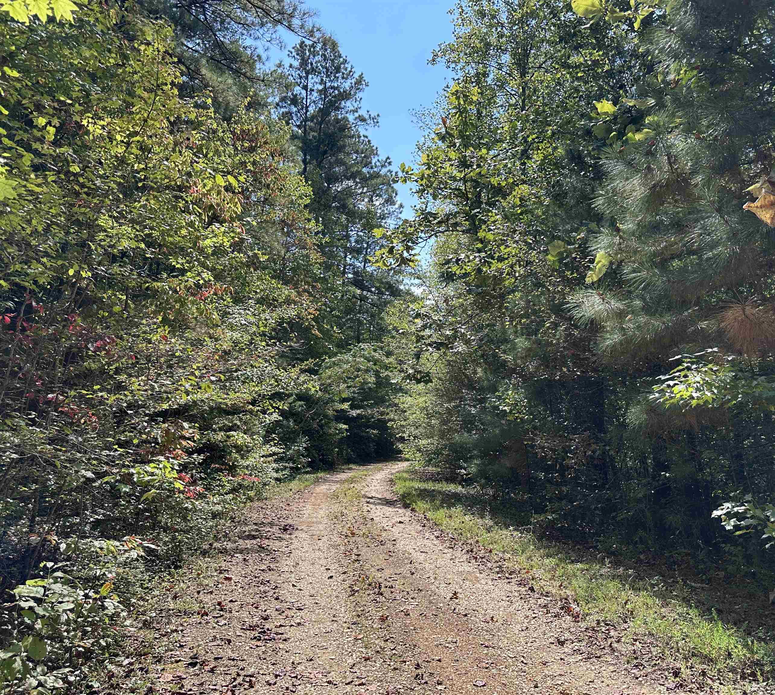 0 Co Rd 3034, Double Springs, AL 35553 — photo 1