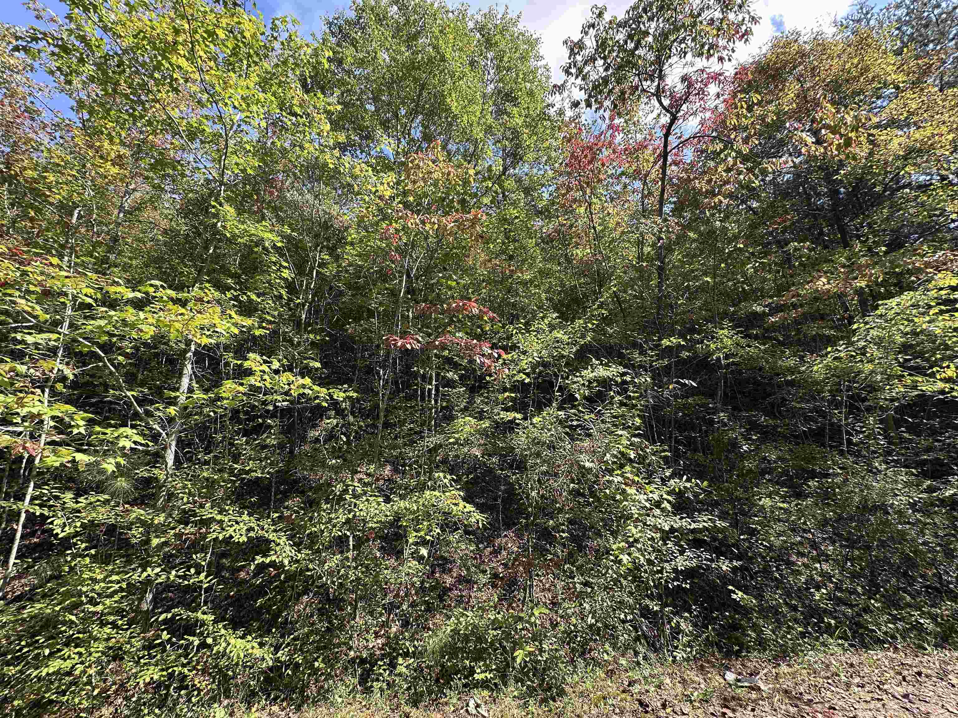 0 Co Rd 3034, Double Springs, AL 35553 — photo 4