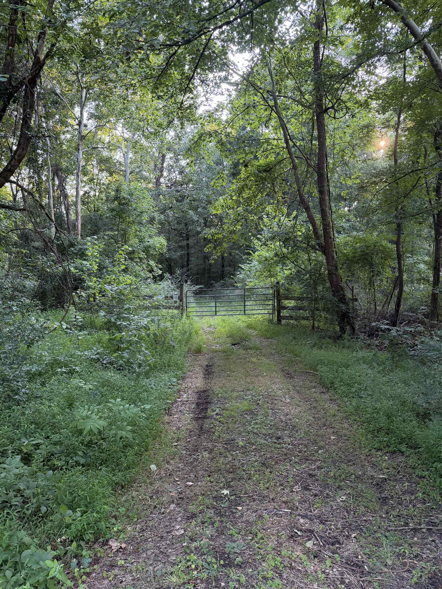00000 Frankfort Rd, Tuscumbia, AL 35674 — photo 1