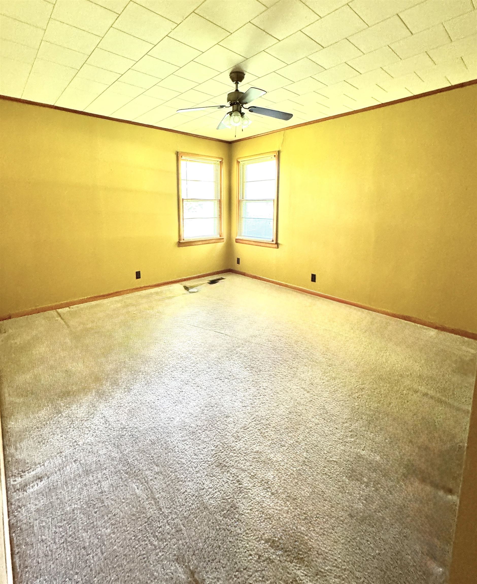 6312 Hwy 101, Rogersville, AL 35652 — photo 11