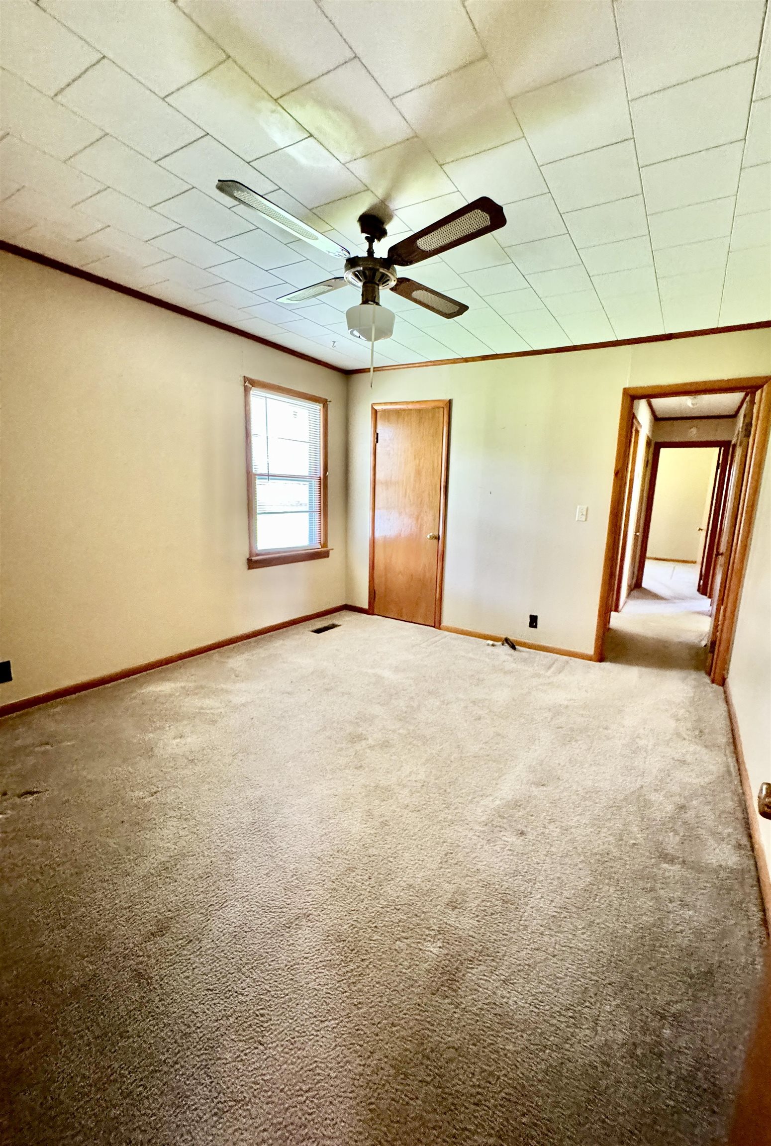 6312 Hwy 101, Rogersville, AL 35652 — photo 10