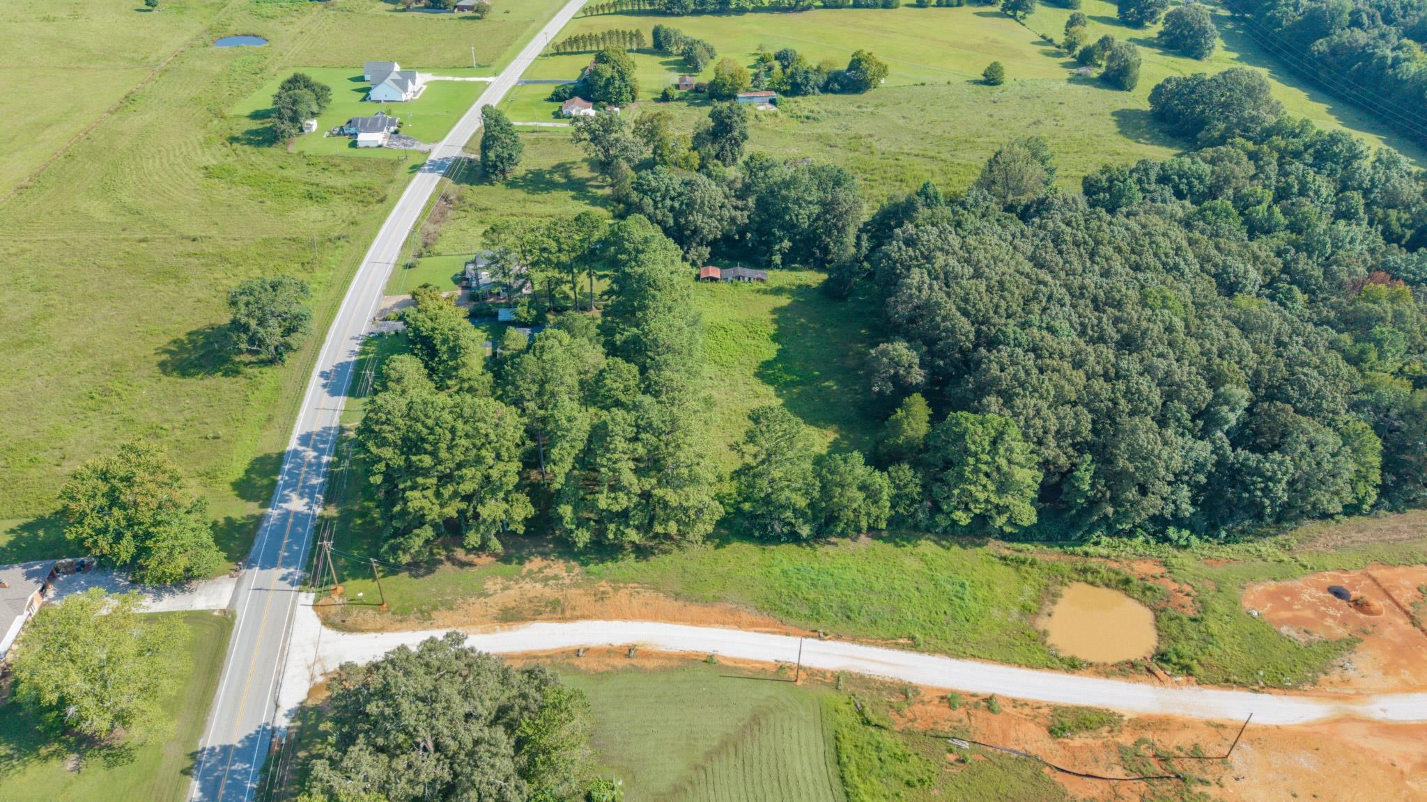 9.5 Acres Hwy 101, Rogersville, AL 35652 — photo 4