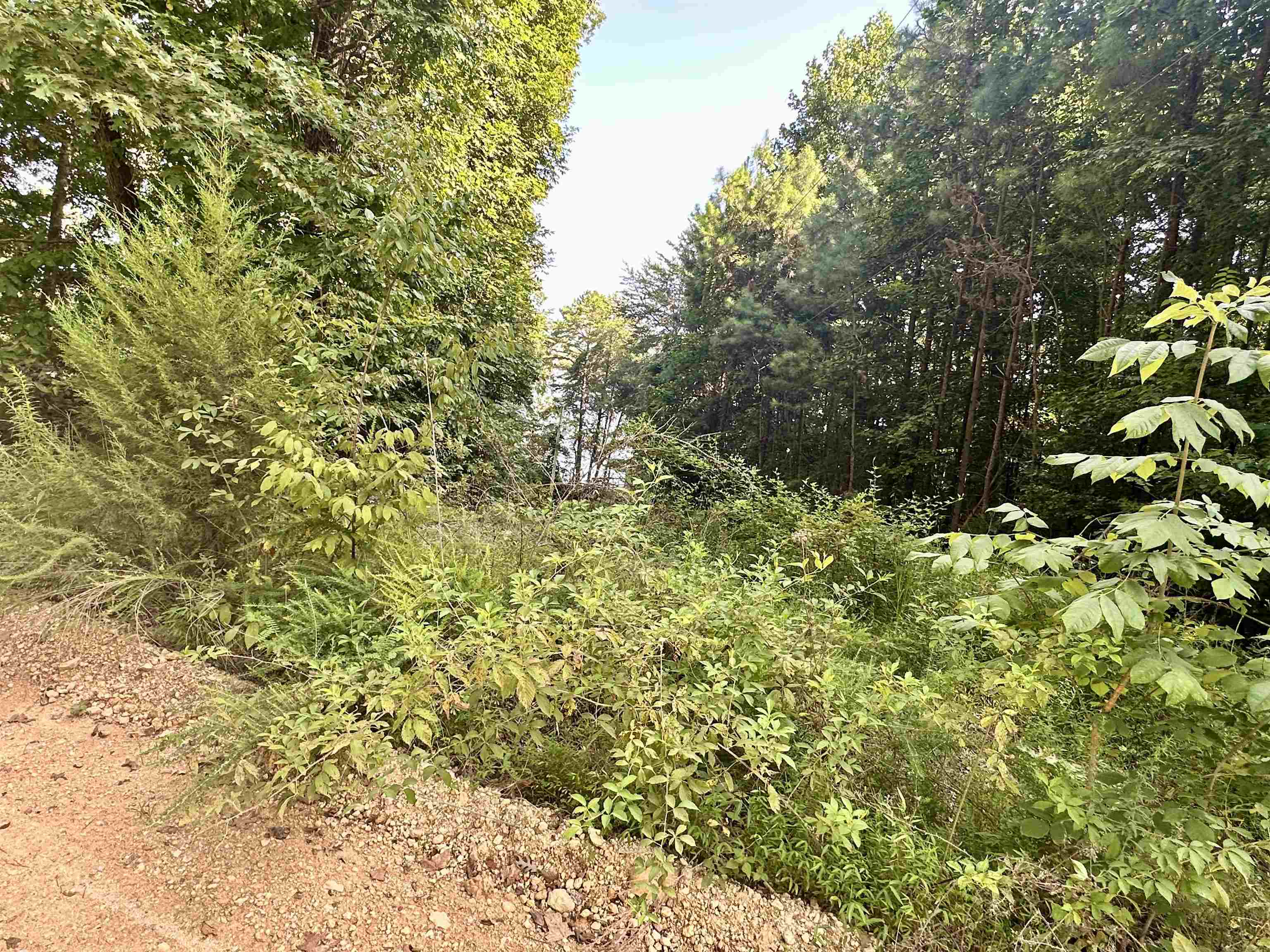 0 Paradise Dr, Waterloo, AL 35677 — photo 2