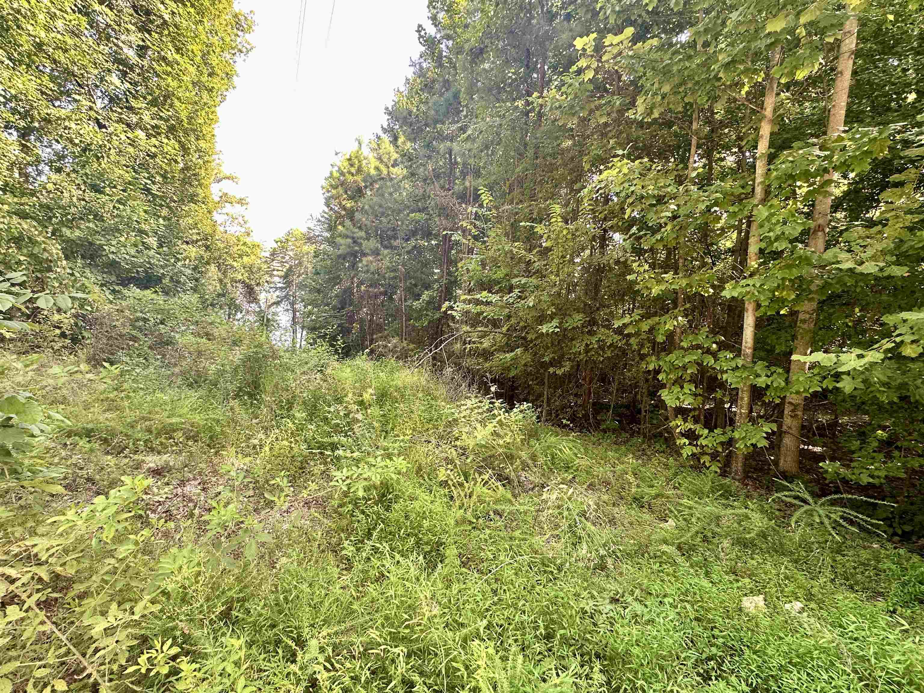 0 Paradise Dr, Waterloo, AL 35677 — photo 3