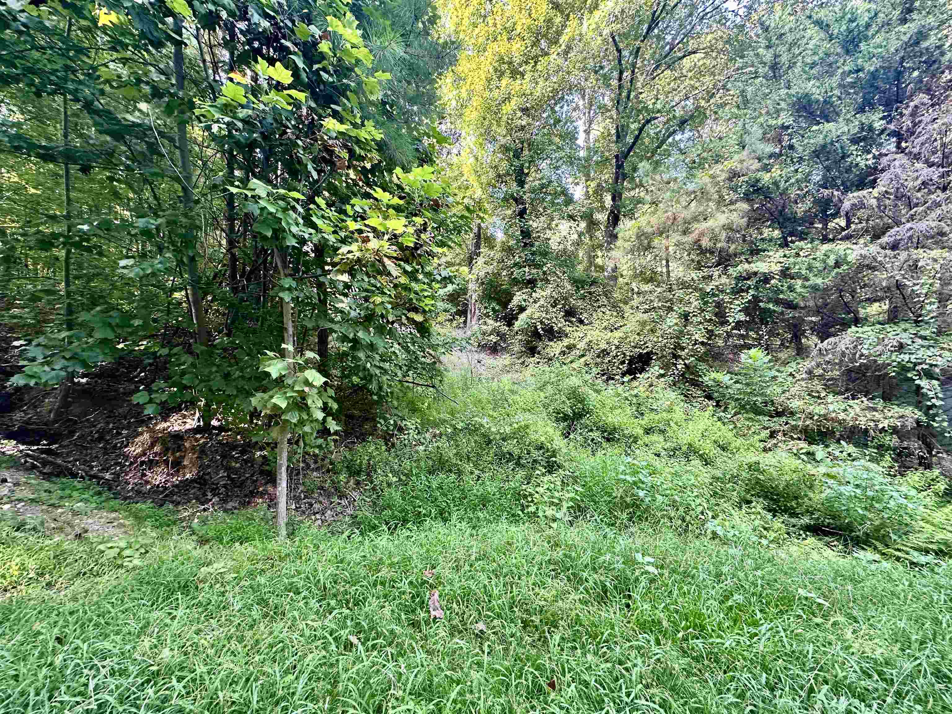 0 Paradise Dr, Waterloo, AL 35677 — photo 5