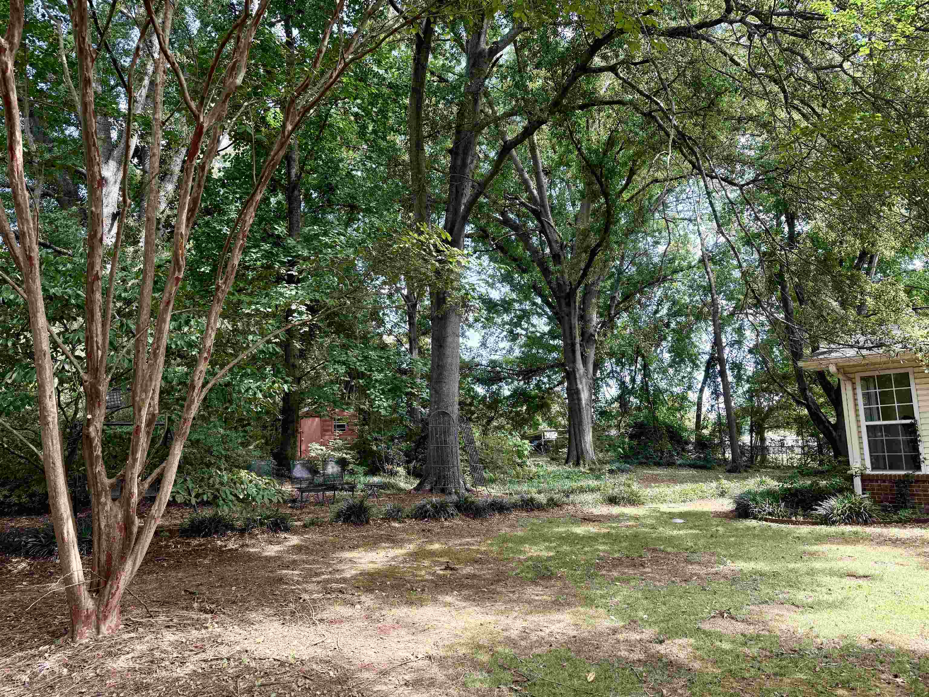 110 Hollywood Dr, Tuscumbia, AL 35674 — photo 2