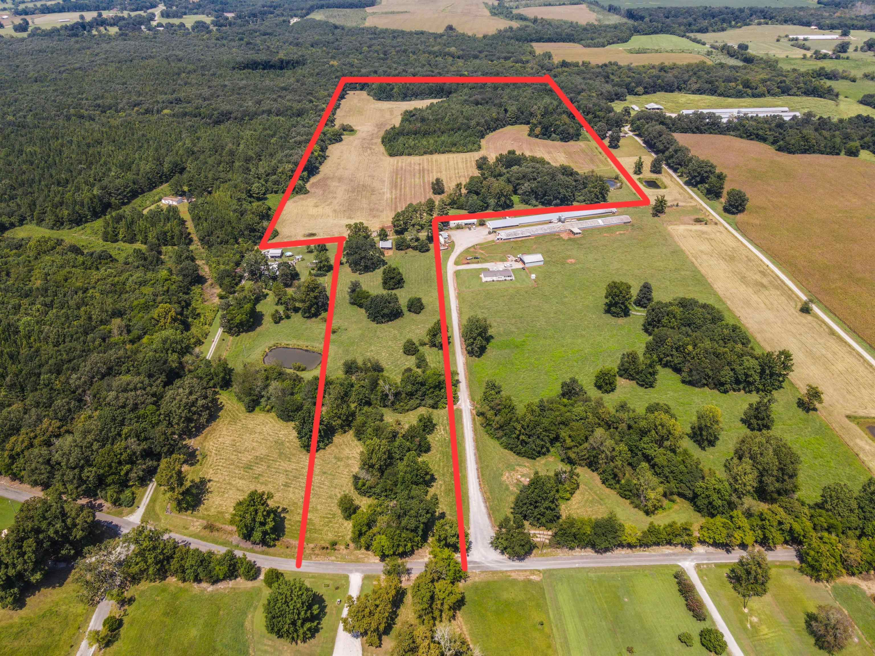 1701 Co Rd 168, Moulton, AL 35650 — photo 3